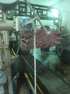 Image for Elegant Car Wash- Maineville OH