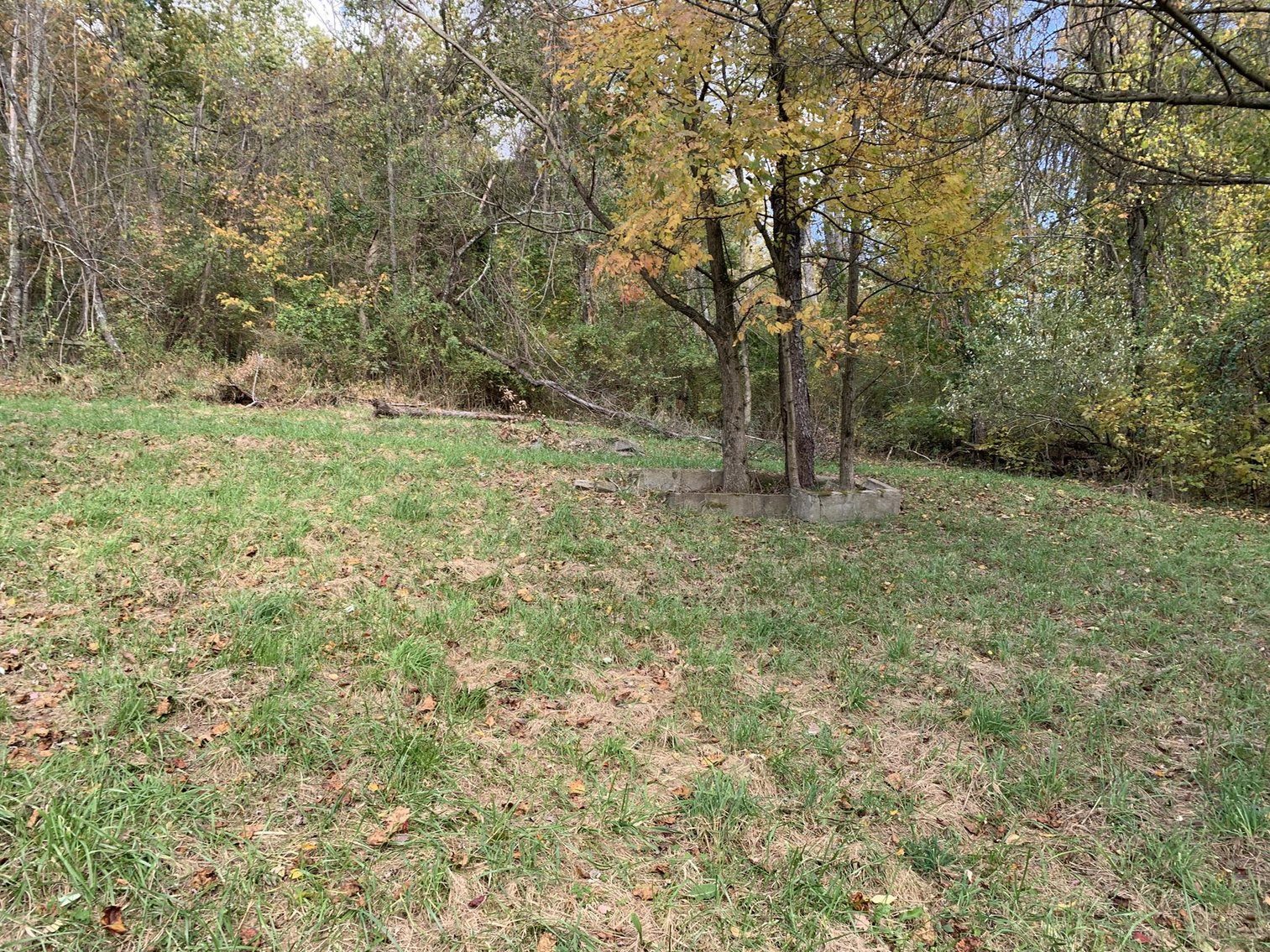 Image for SOLD - $20,000 Home in Stonewood