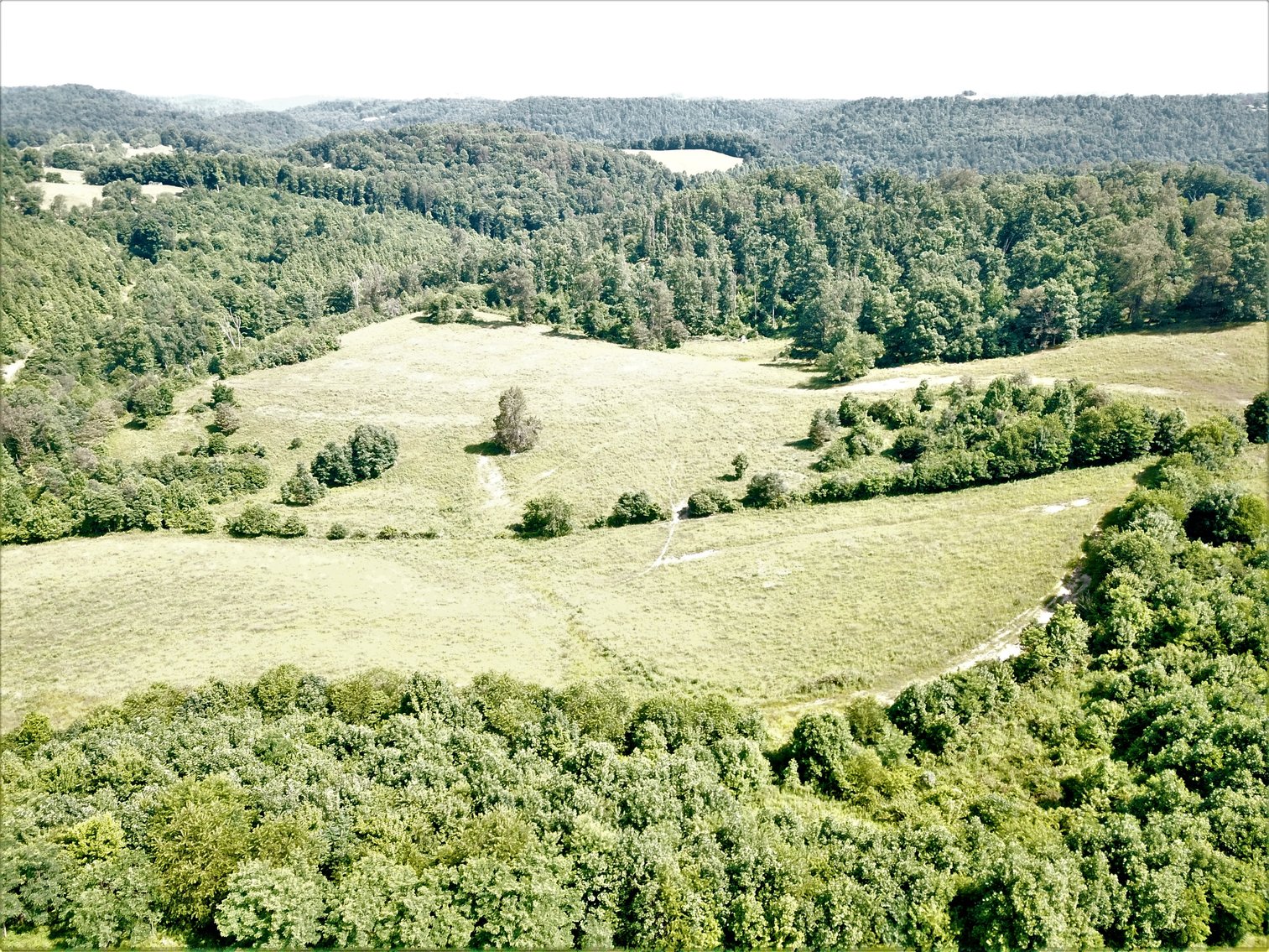 Image for 432.18+/- Acre Farm with Mineral Rights & Timber