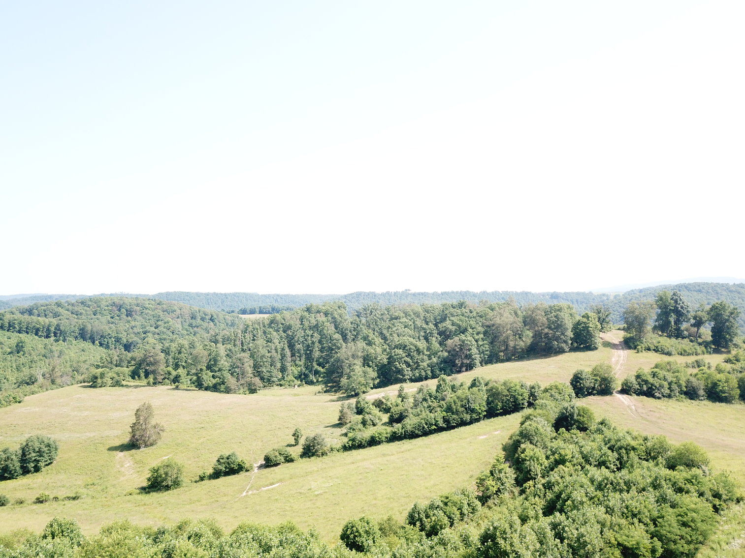 Image for 432.18+/- Acre Farm with Mineral Rights & Timber