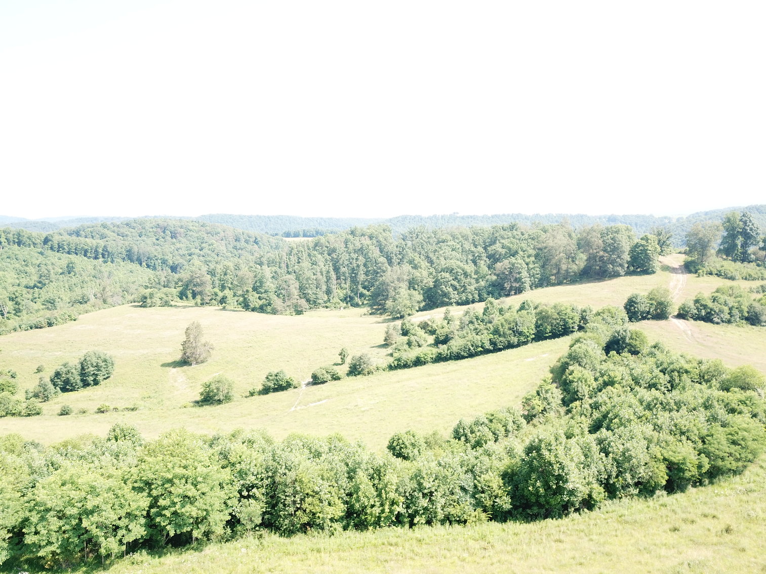 Image for 432.18+/- Acre Farm with Mineral Rights & Timber