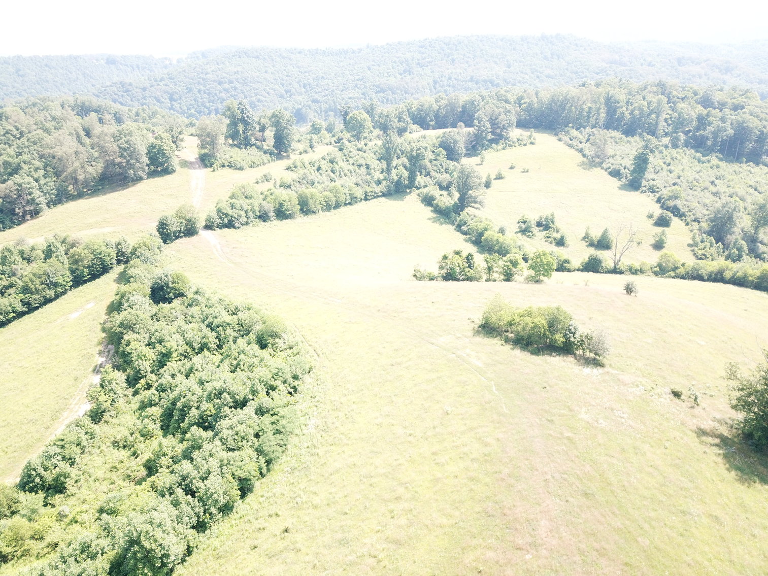 Image for 432.18+/- Acre Farm with Mineral Rights & Timber