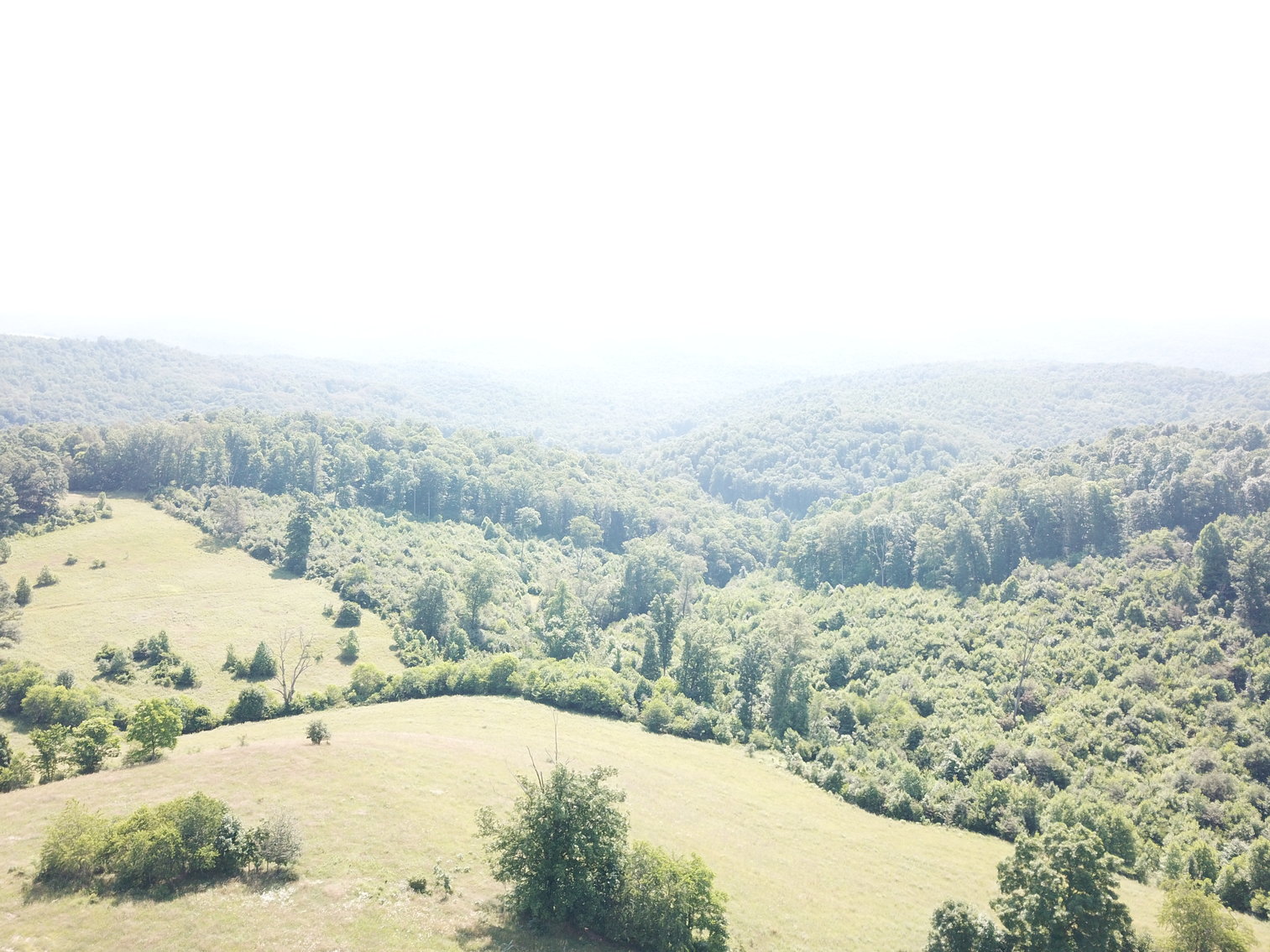 Image for 432.18+/- Acre Farm with Mineral Rights & Timber