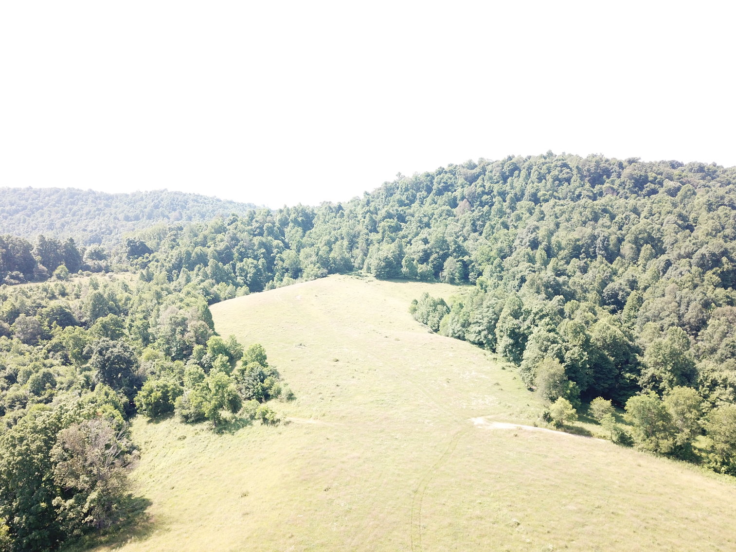 Image for 432.18+/- Acre Farm with Mineral Rights & Timber