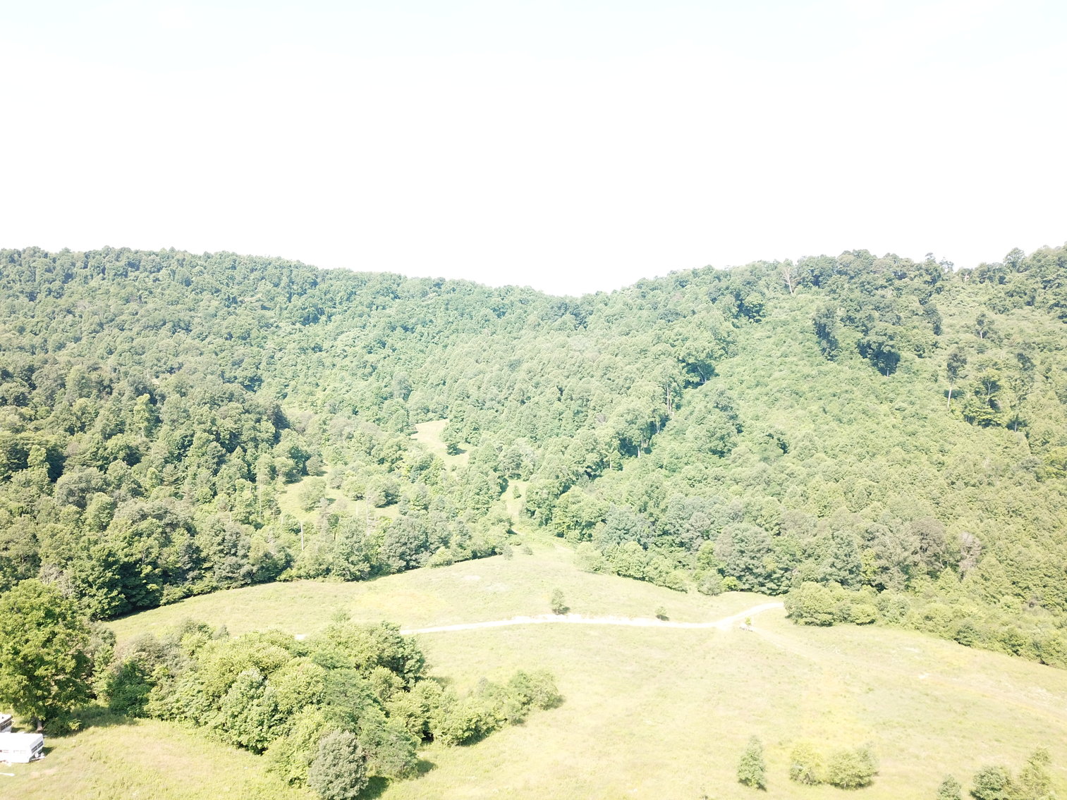 Image for 432.18+/- Acre Farm with Mineral Rights & Timber