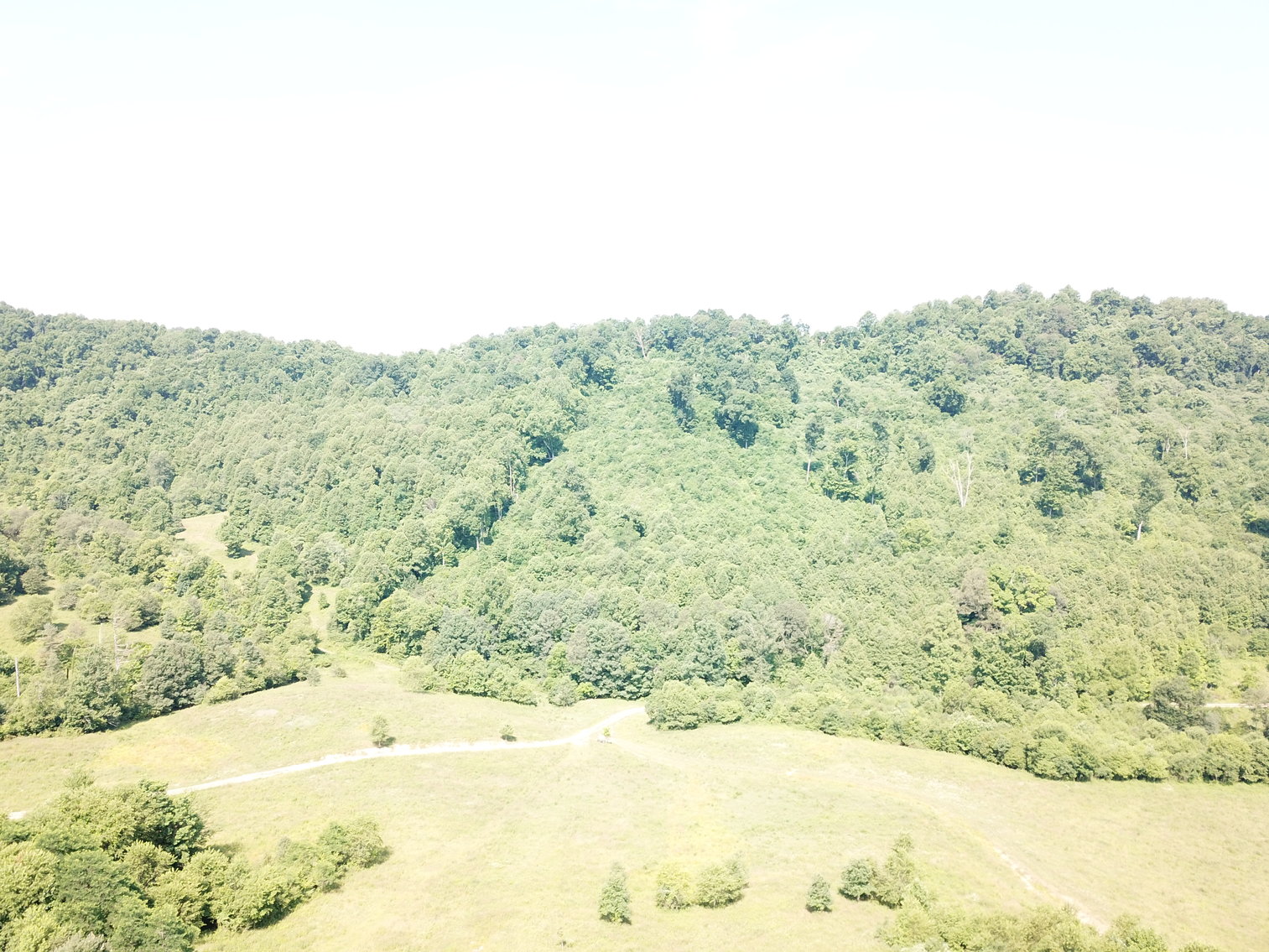 Image for 432.18+/- Acre Farm with Mineral Rights & Timber