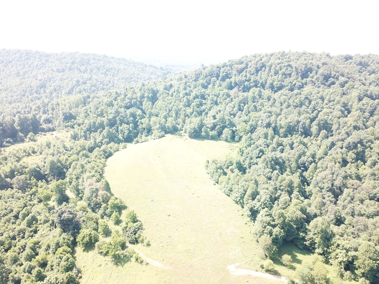 Image for 432.18+/- Acre Farm with Mineral Rights & Timber