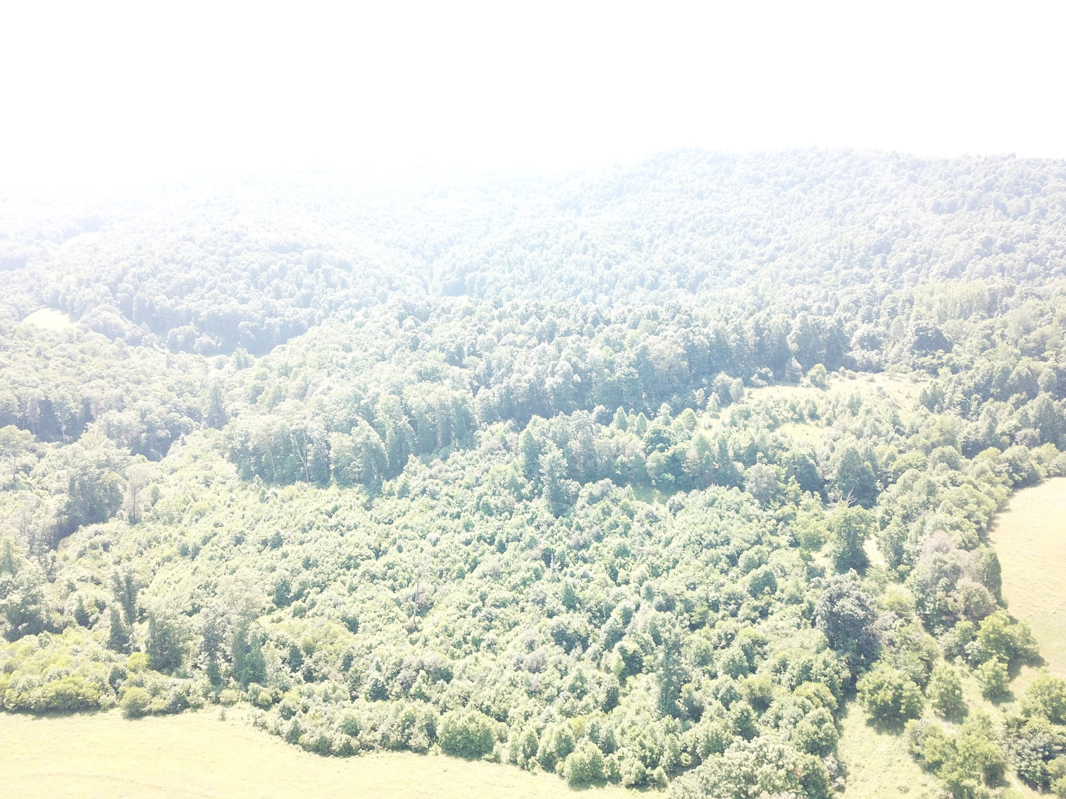 Image for 432.18+/- Acre Farm with Mineral Rights & Timber