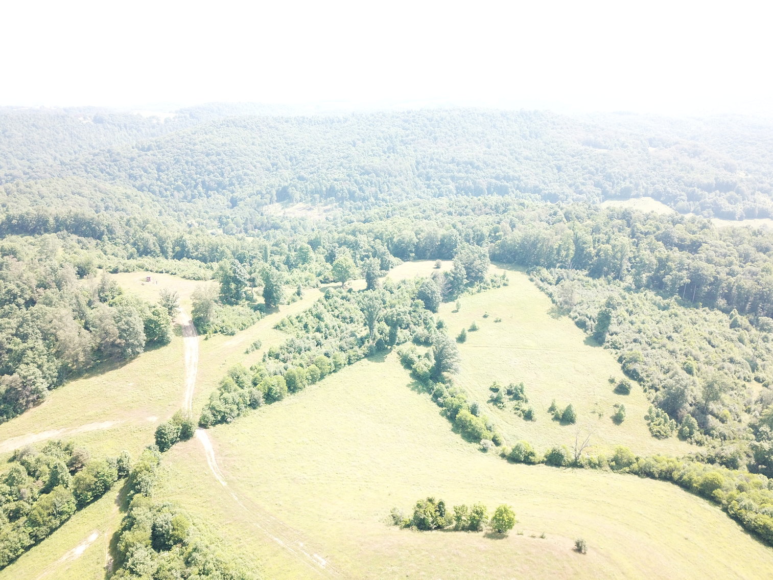 Image for 432.18+/- Acre Farm with Mineral Rights & Timber