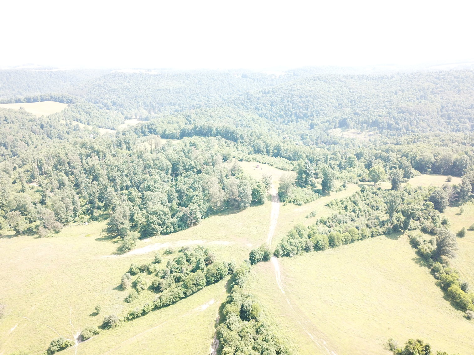 Image for 432.18+/- Acre Farm with Mineral Rights & Timber