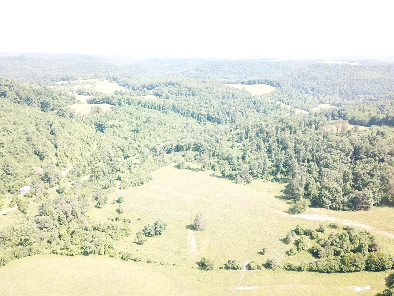 Image for 432.18+/- Acre Farm with Mineral Rights & Timber