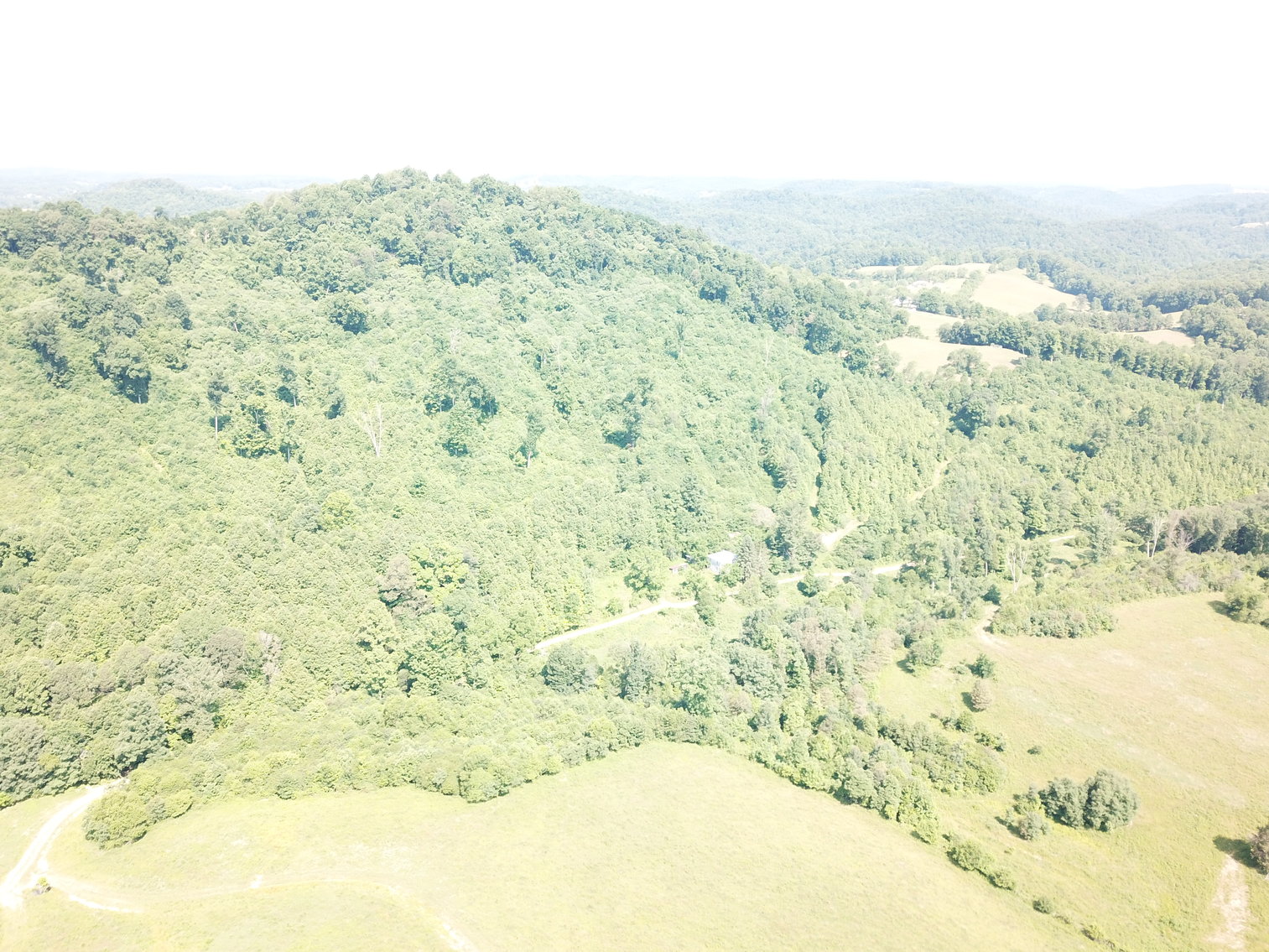 Image for 432.18+/- Acre Farm with Mineral Rights & Timber