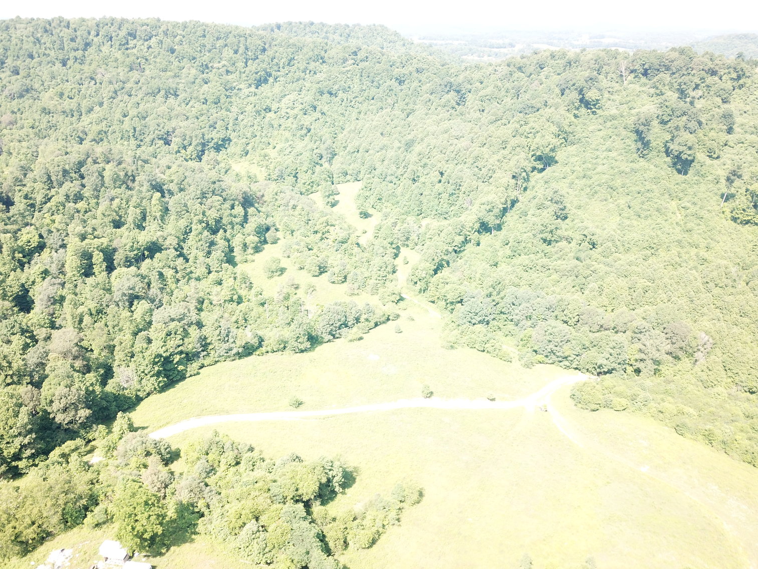 Image for 432.18+/- Acre Farm with Mineral Rights & Timber