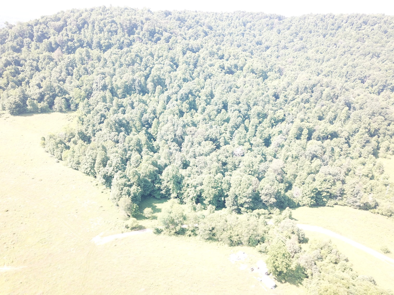 Image for 432.18+/- Acre Farm with Mineral Rights & Timber