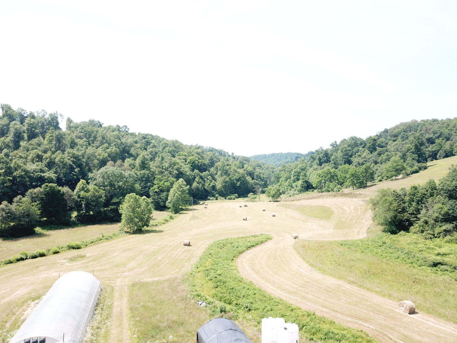 Image for 432.18+/- Acre Farm with Mineral Rights & Timber