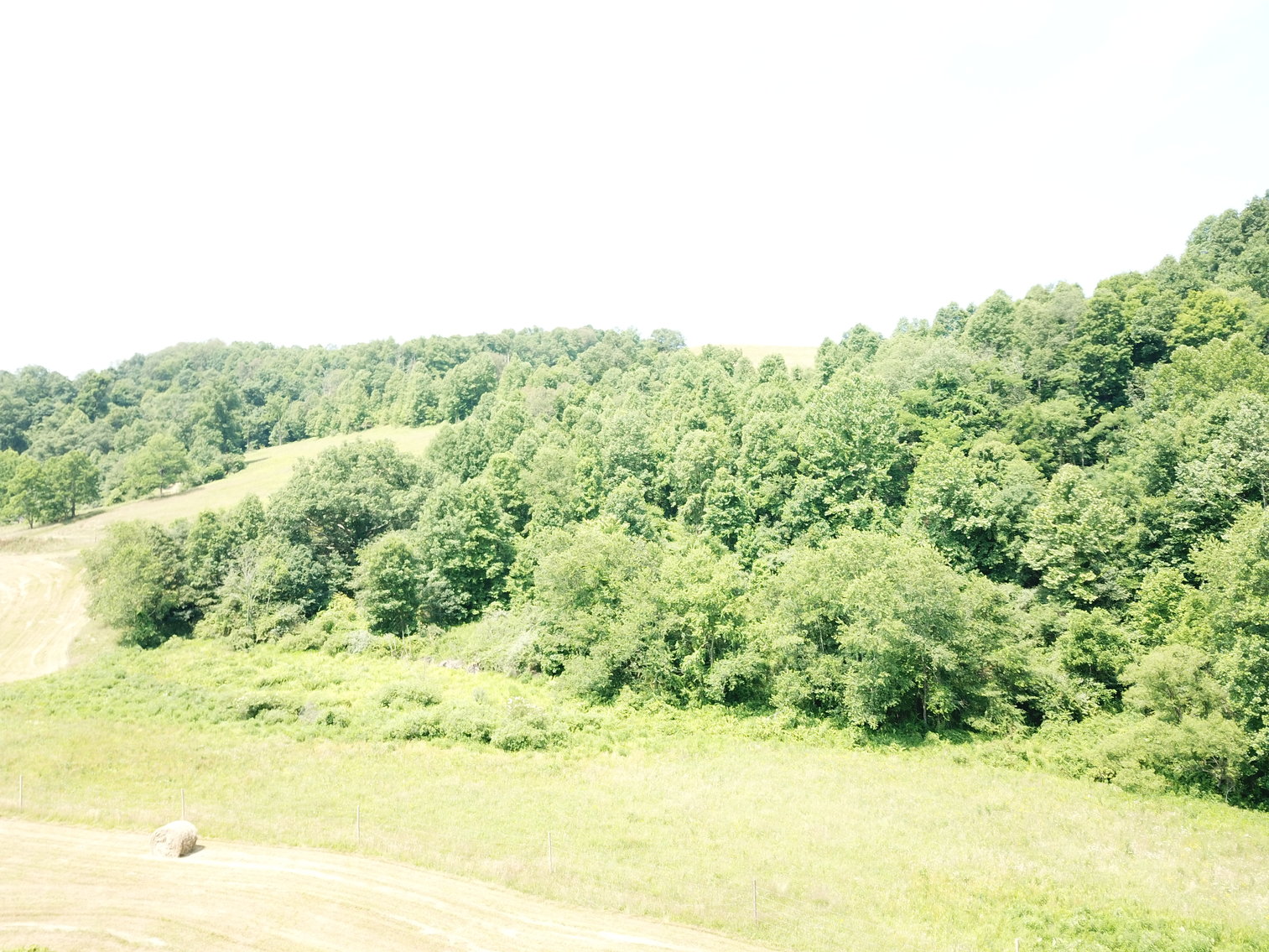 Image for 432.18+/- Acre Farm with Mineral Rights & Timber