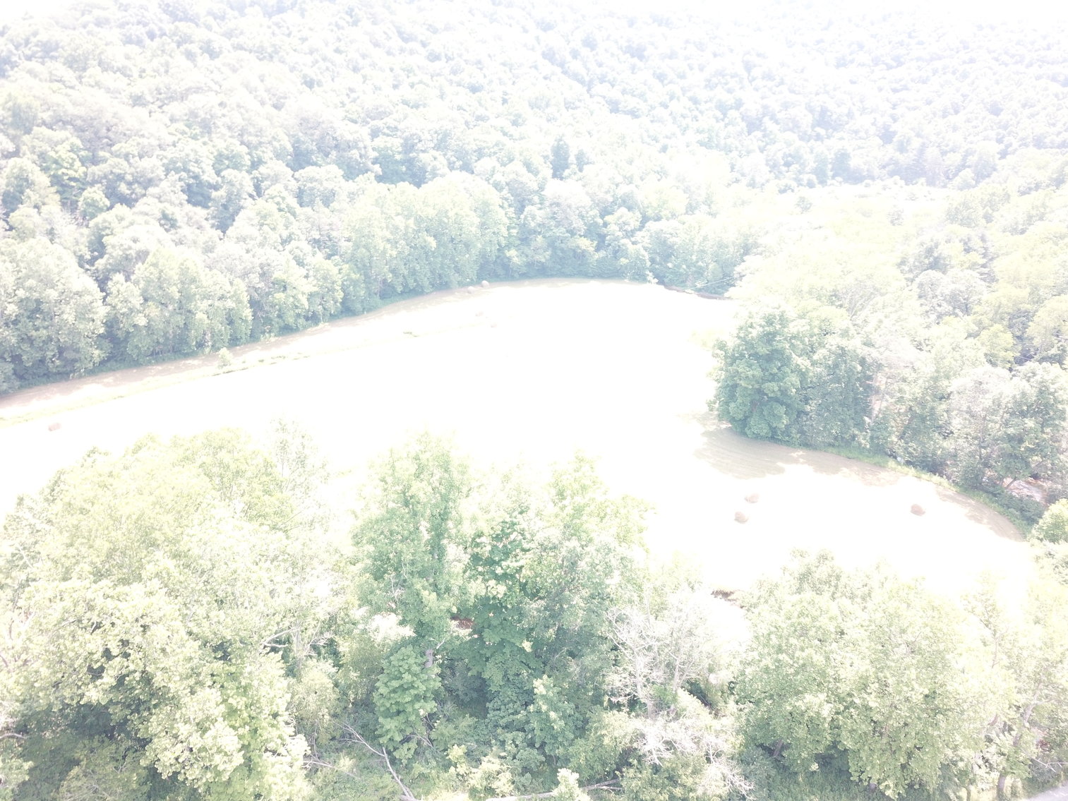 Image for 432.18+/- Acre Farm with Mineral Rights & Timber