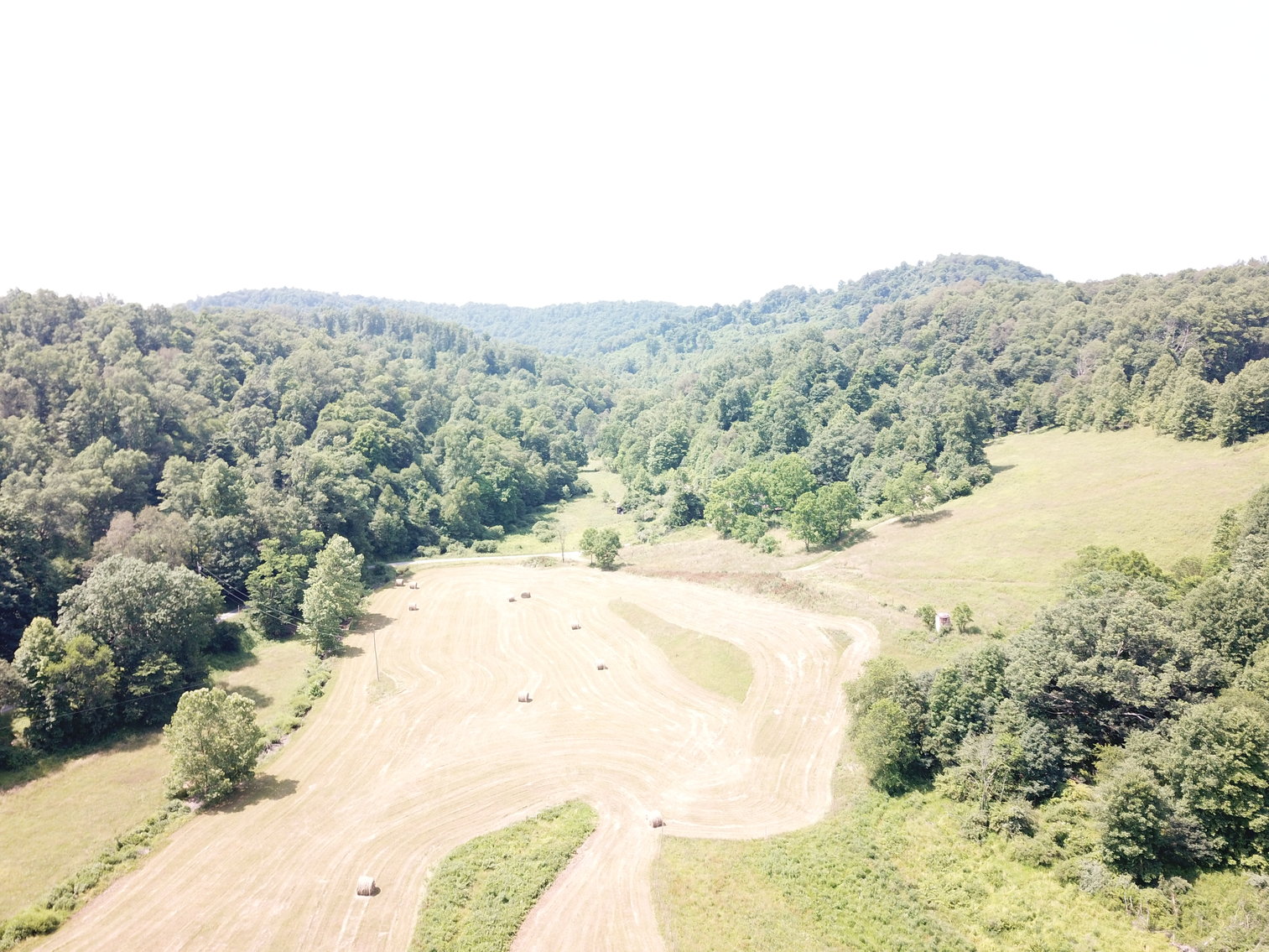 Image for 432.18+/- Acre Farm with Mineral Rights & Timber