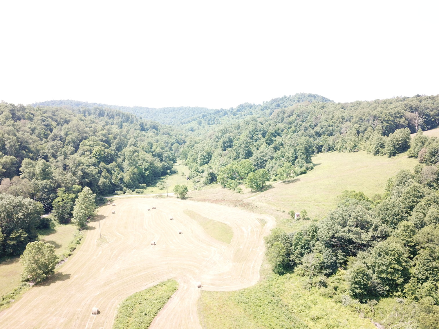 Image for 432.18+/- Acre Farm with Mineral Rights & Timber