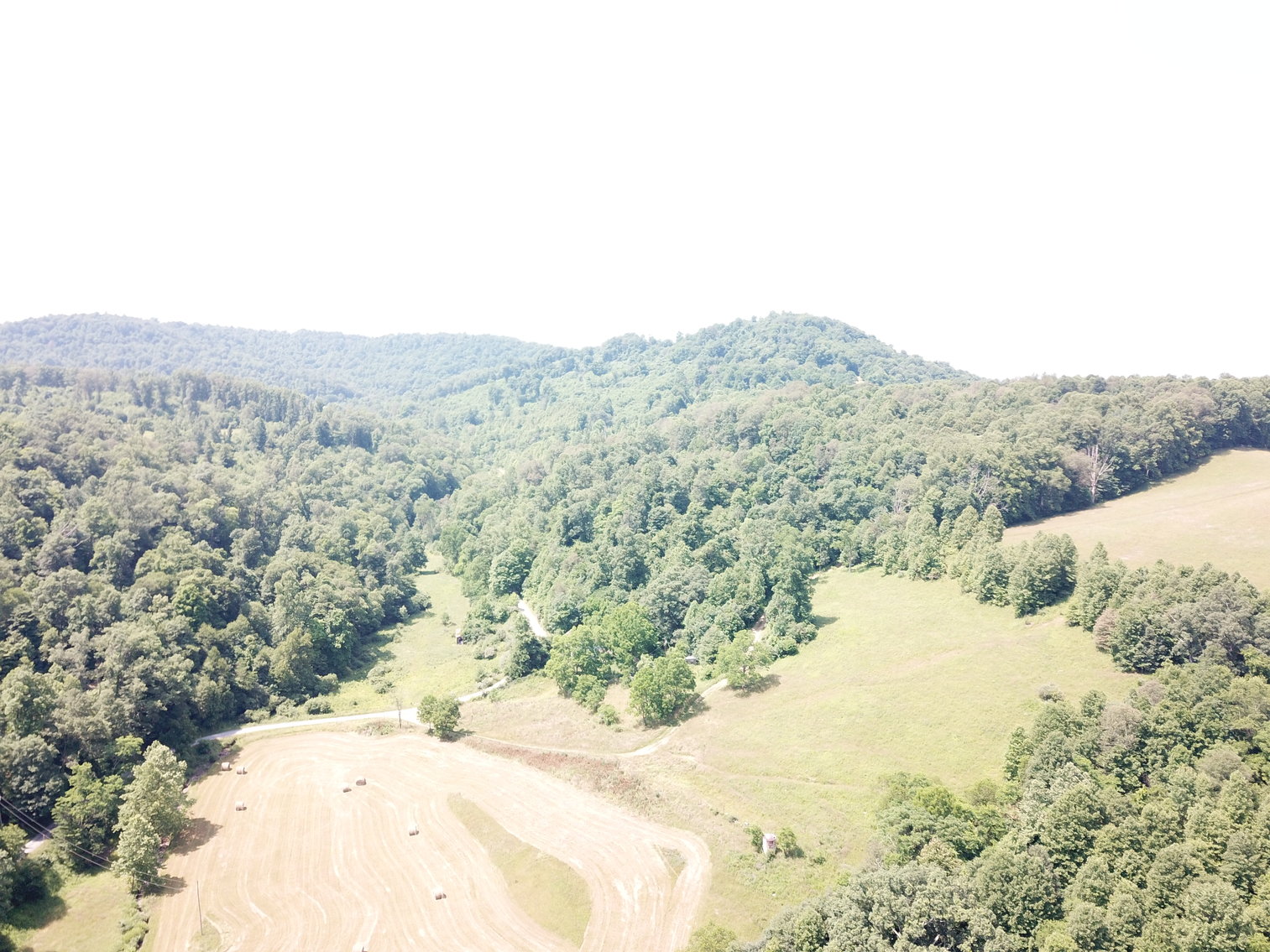 Image for 432.18+/- Acre Farm with Mineral Rights & Timber