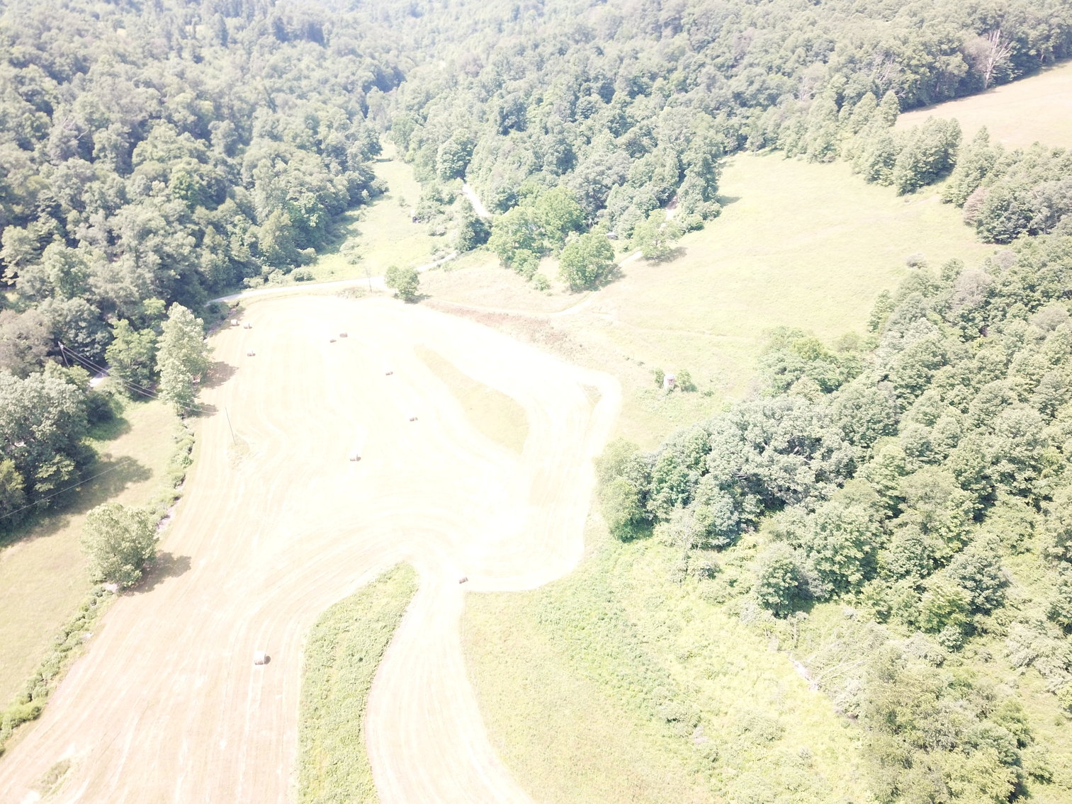 Image for 432.18+/- Acre Farm with Mineral Rights & Timber