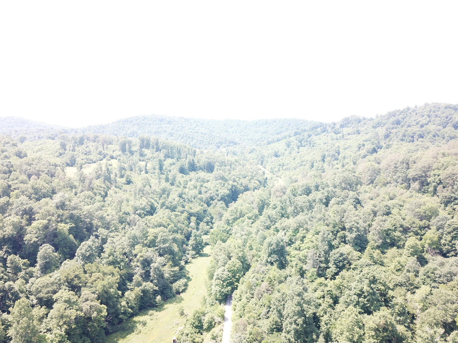 Image for 432.18+/- Acre Farm with Mineral Rights & Timber