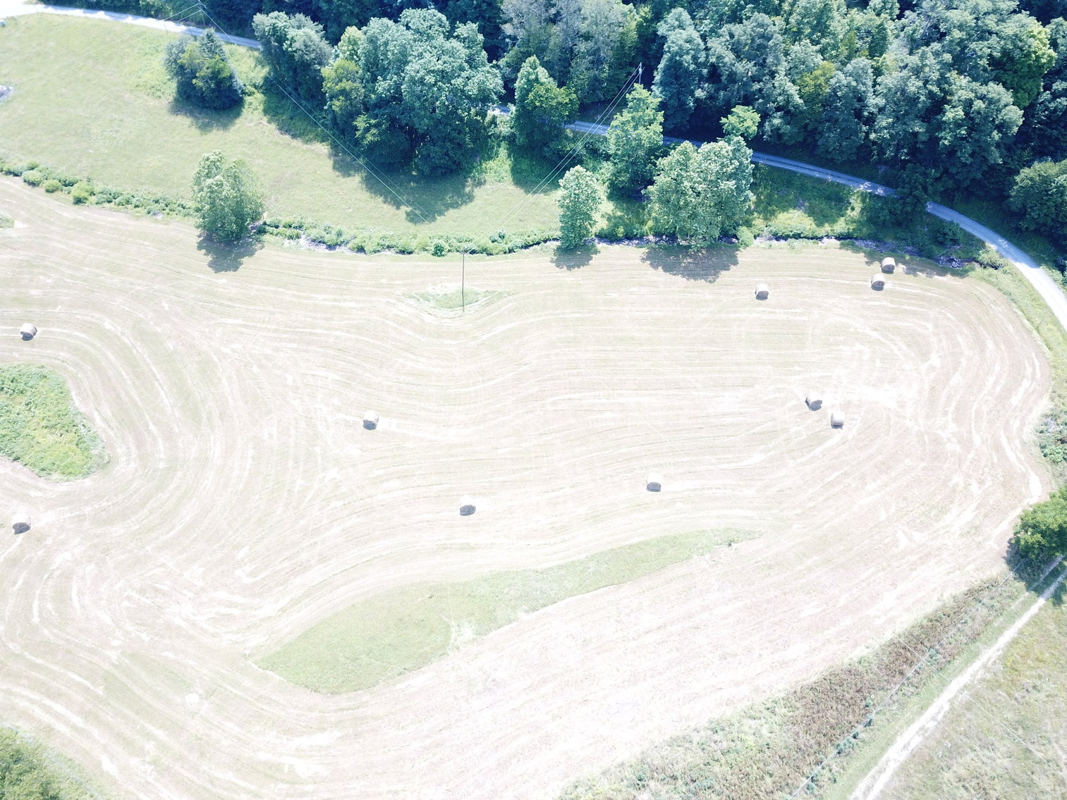 Image for 432.18+/- Acre Farm with Mineral Rights & Timber