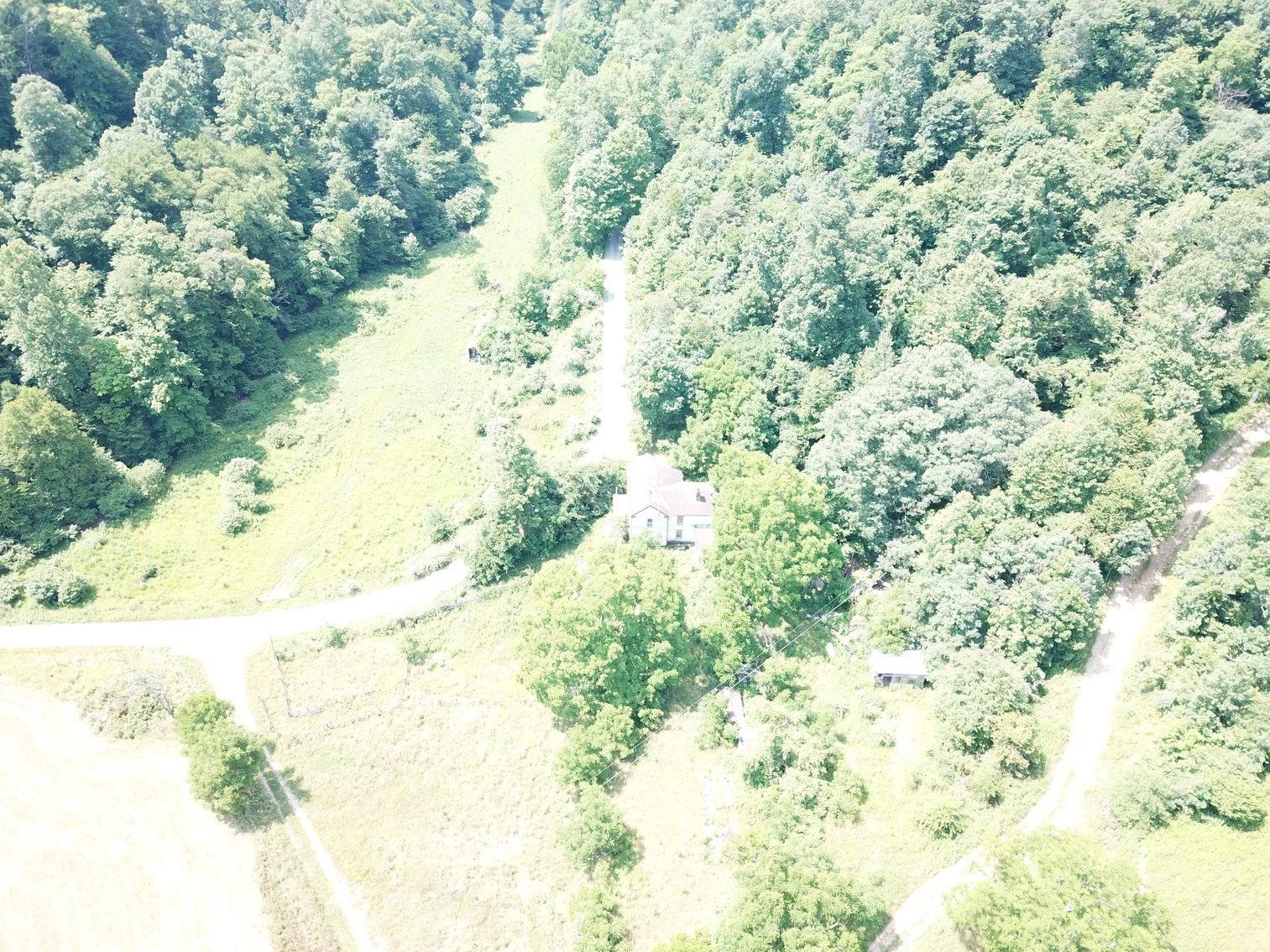 Image for 432.18+/- Acre Farm with Mineral Rights & Timber