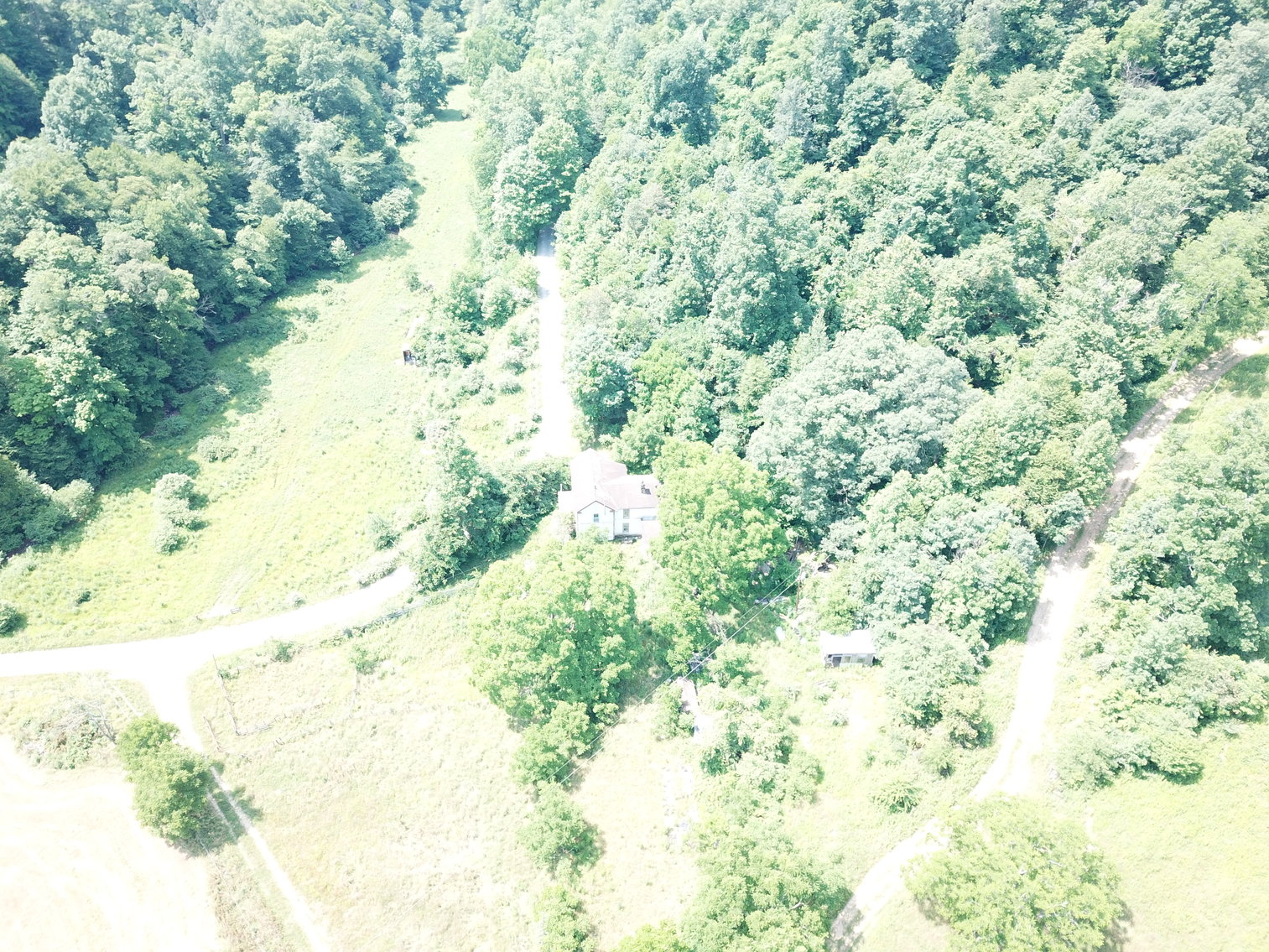 Image for 432.18+/- Acre Farm with Mineral Rights & Timber