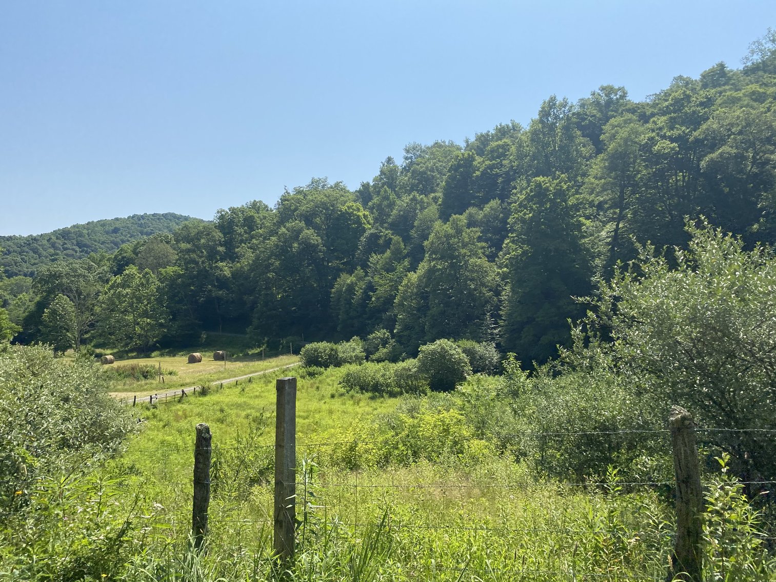 Image for 432.18+/- Acre Farm with Mineral Rights & Timber