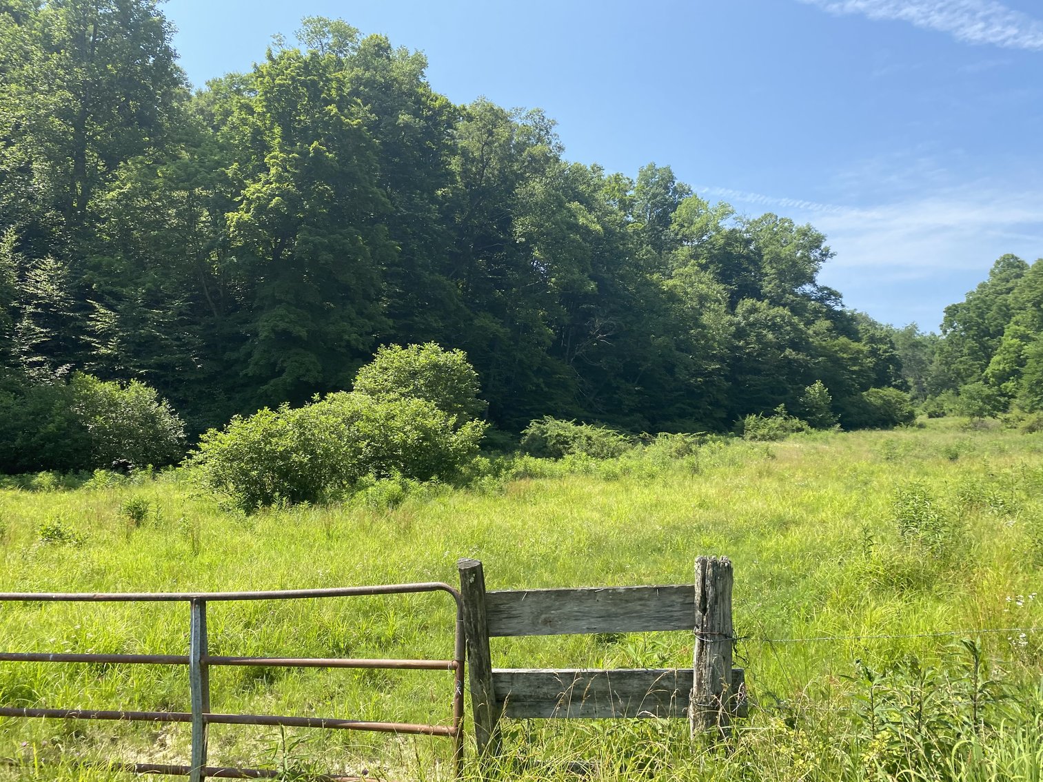 Image for 432.18+/- Acre Farm with Mineral Rights & Timber