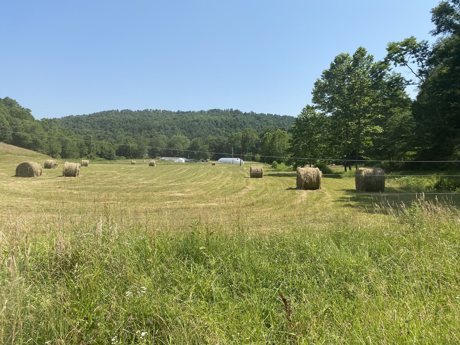 Image for 432.18+/- Acre Farm with Mineral Rights & Timber