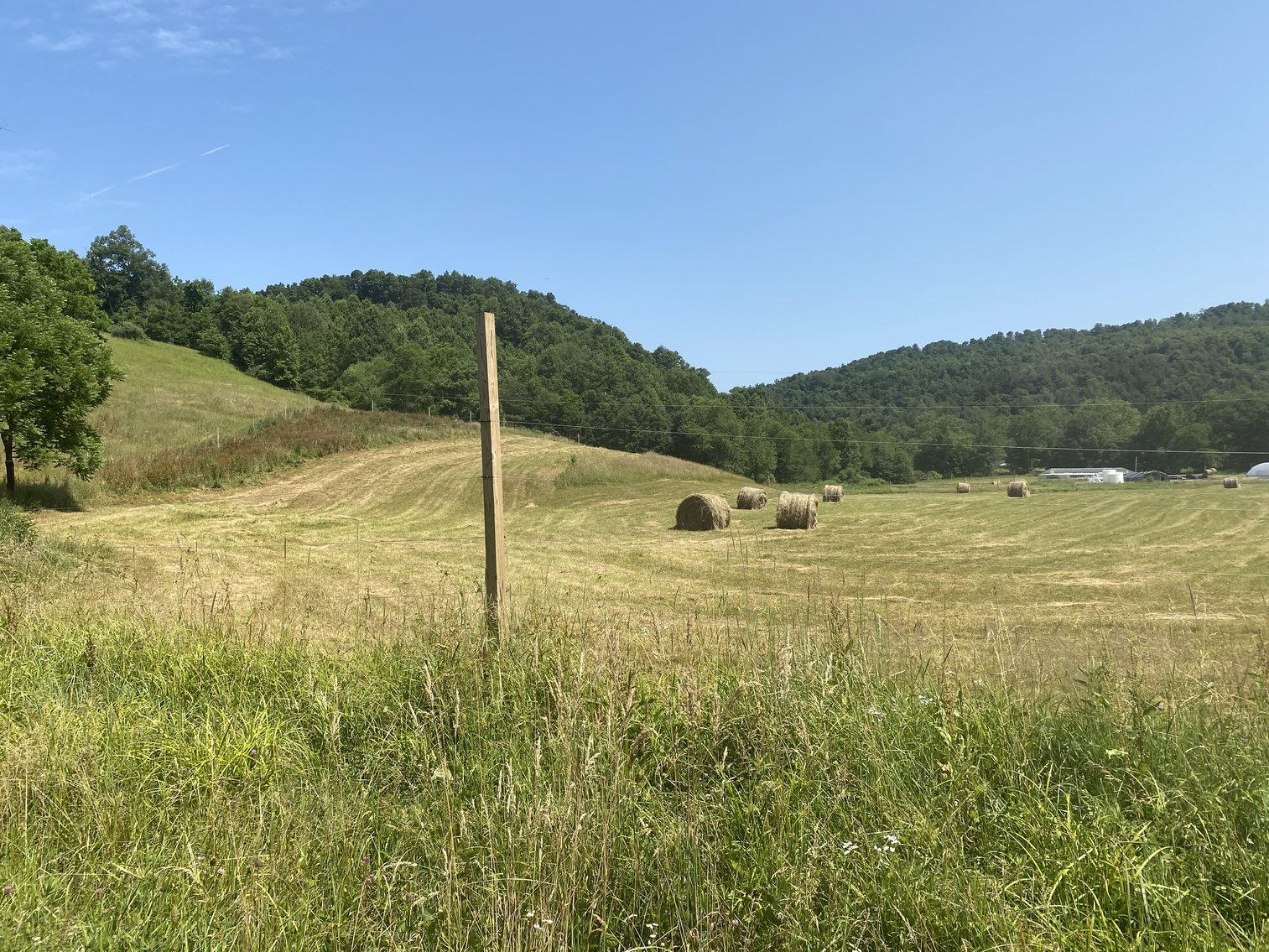 Image for 432.18+/- Acre Farm with Mineral Rights & Timber