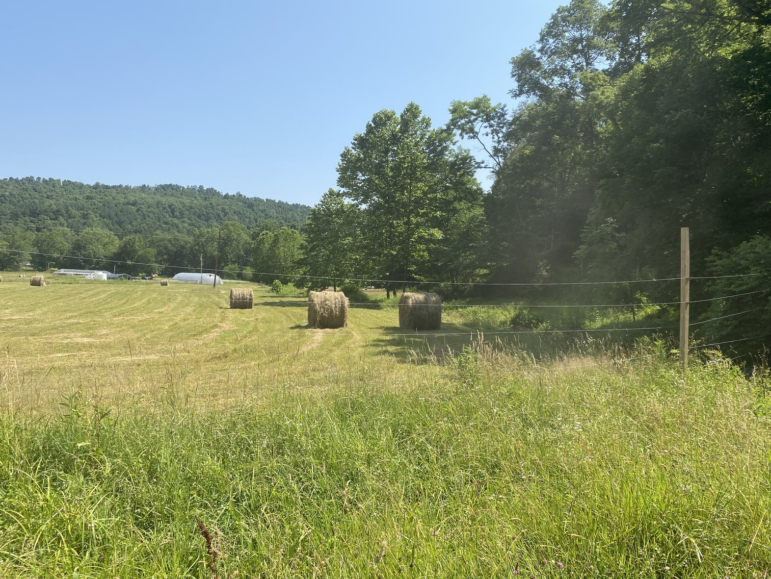 Image for 432.18+/- Acre Farm with Mineral Rights & Timber