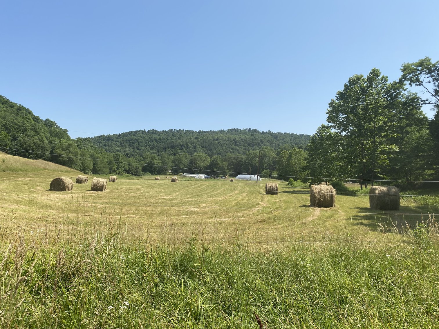 Image for 432.18+/- Acre Farm with Mineral Rights & Timber