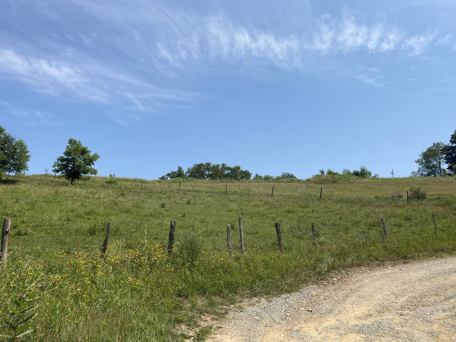 Image for 432.18+/- Acre Farm with Mineral Rights & Timber