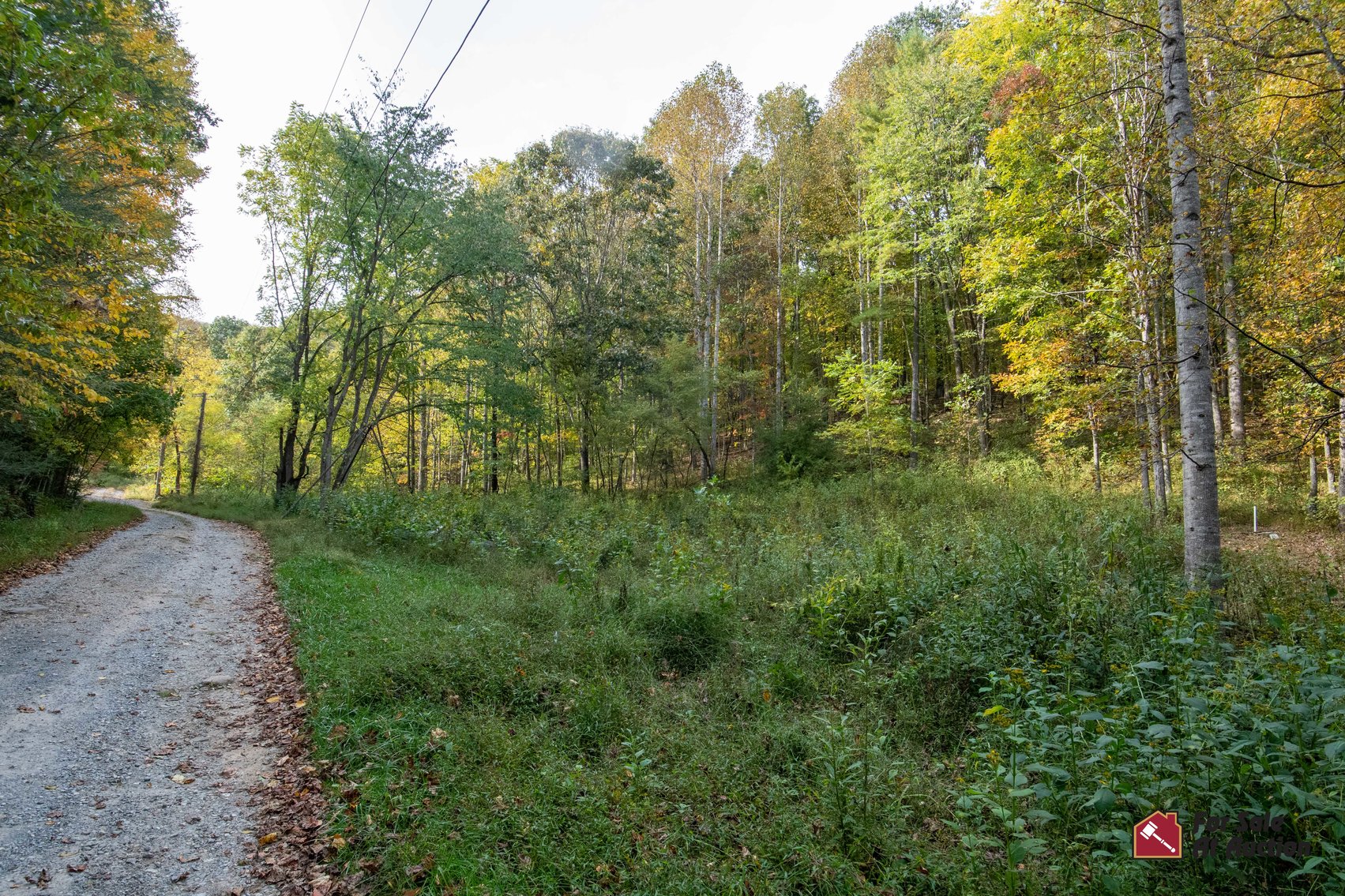 Image for Rockbridge County and Town of Glasgow, VA Tax Delinquent Real Estate