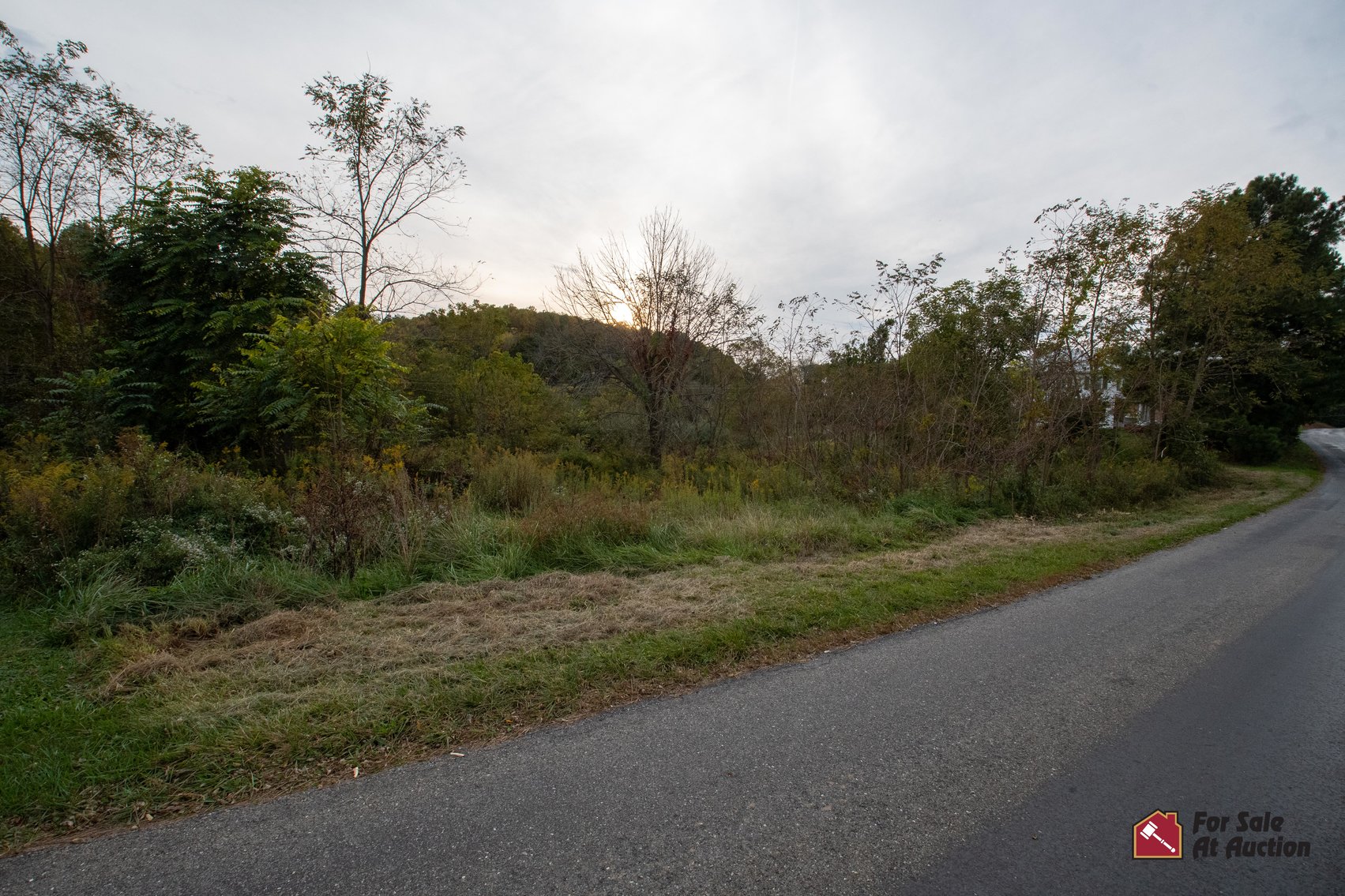 Image for Rockbridge County and Town of Glasgow, VA Tax Delinquent Real Estate