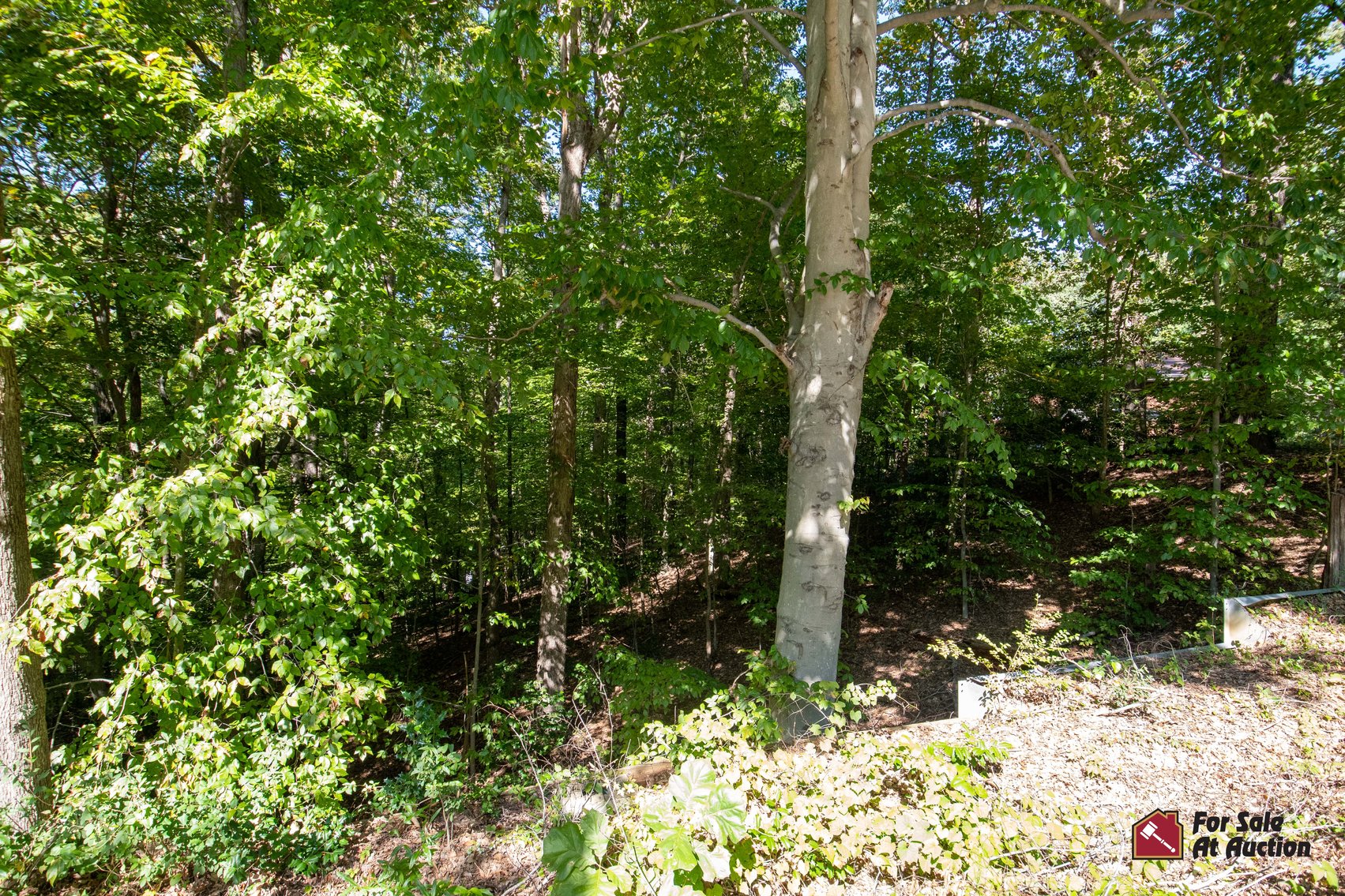 Spotsylvania County VA Tax Delinquent Real Estate