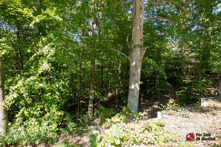 Image for Spotsylvania County VA Tax Delinquent Real Estate