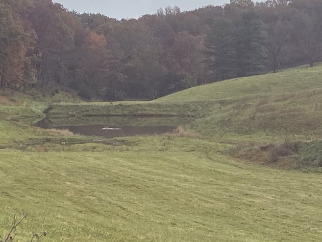 Image for Court Ordered Auction - Scenic 52.23 +/- AC Farm  Augusta Co - 2349 Springhill Rd. Staunton VA