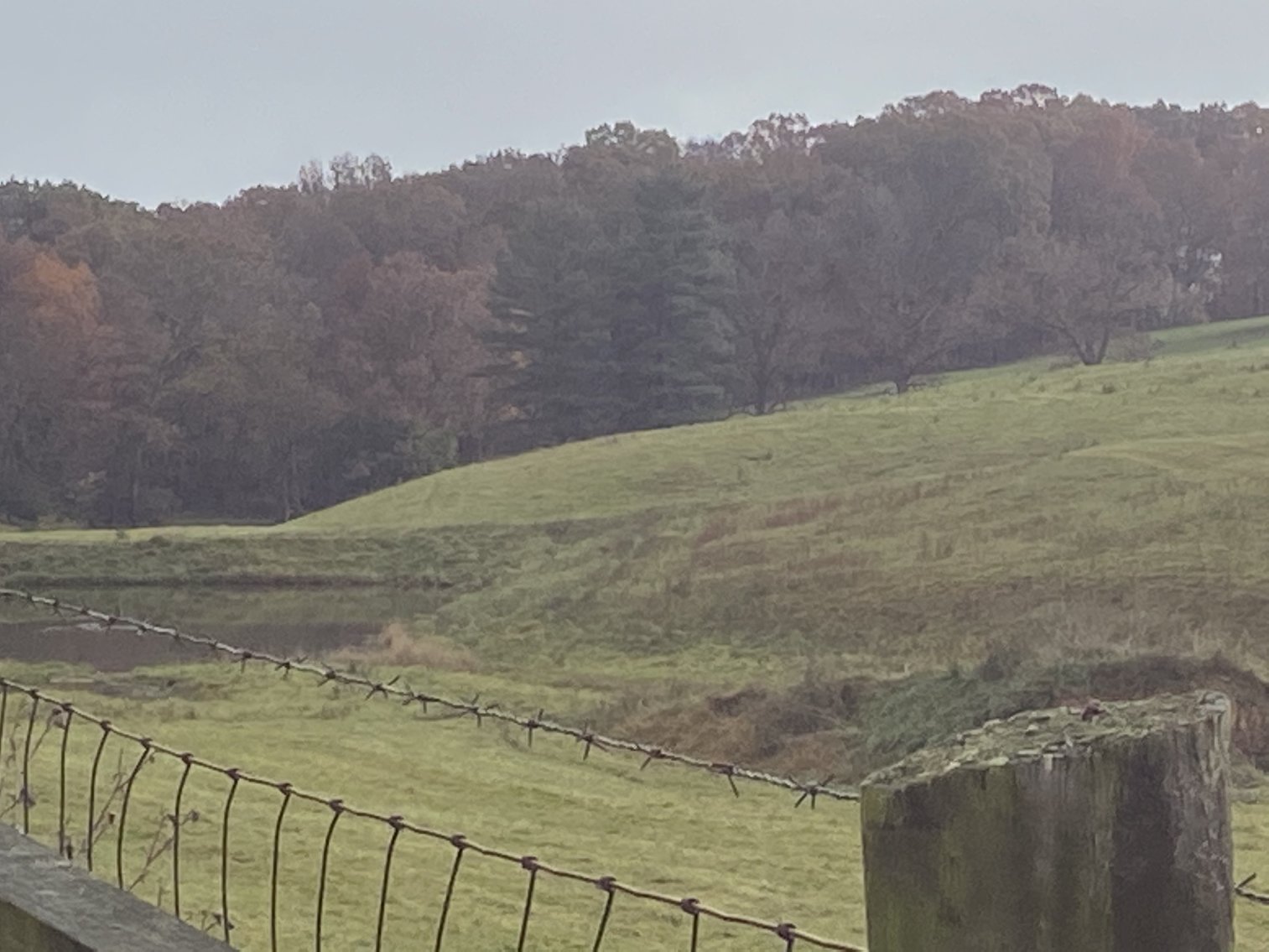 Image for Court Ordered Auction - Scenic 52.23 +/- AC Farm  Augusta Co - 2349 Springhill Rd. Staunton VA