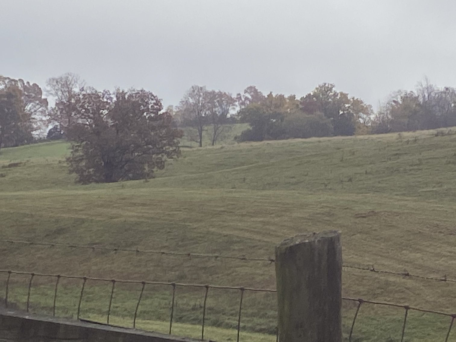 Image for Court Ordered Auction - Scenic 52.23 +/- AC Farm  Augusta Co - 2349 Springhill Rd. Staunton VA