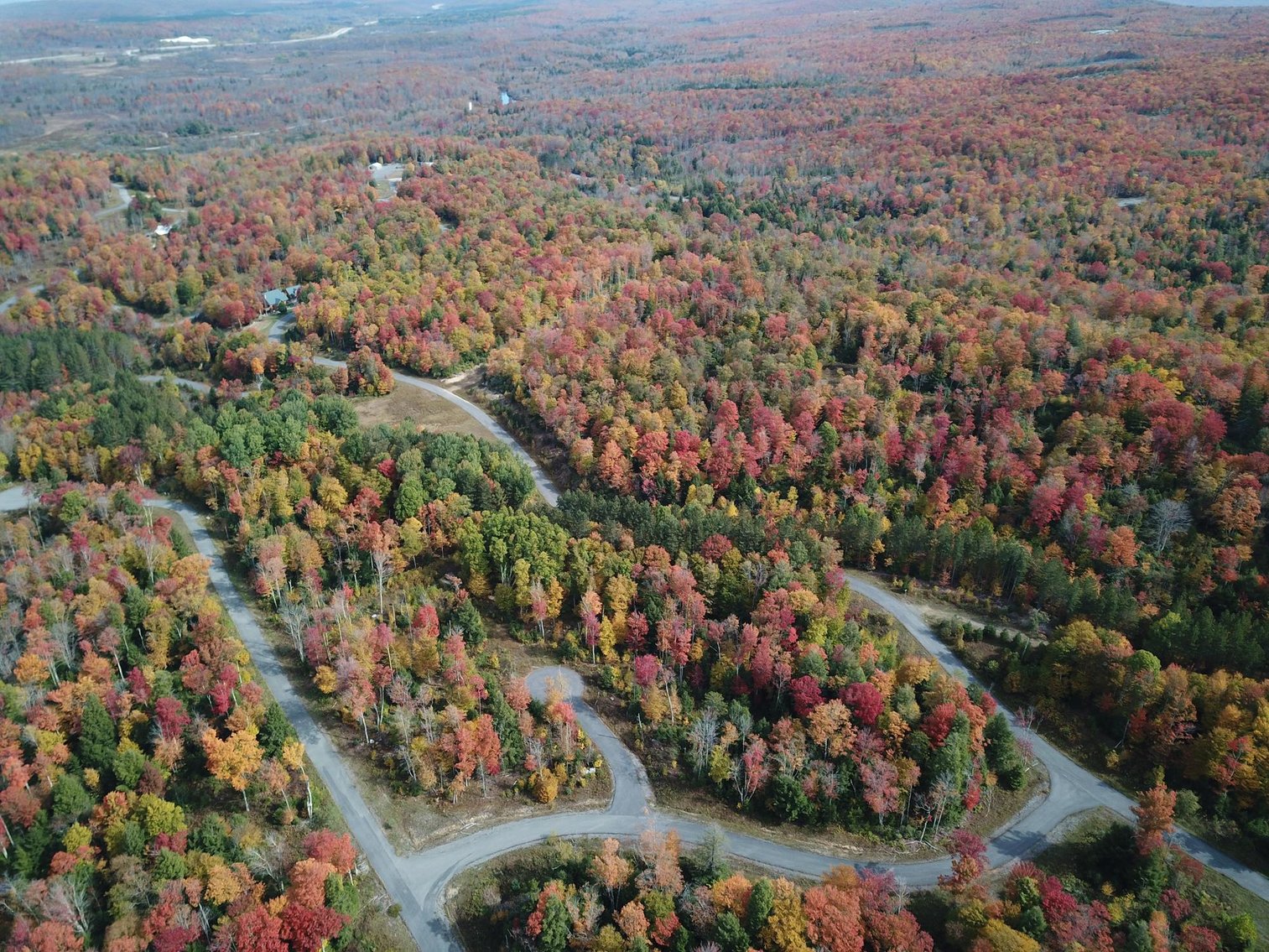 55 Lots in Tuscan Ridge Sold to the Highest Bidders