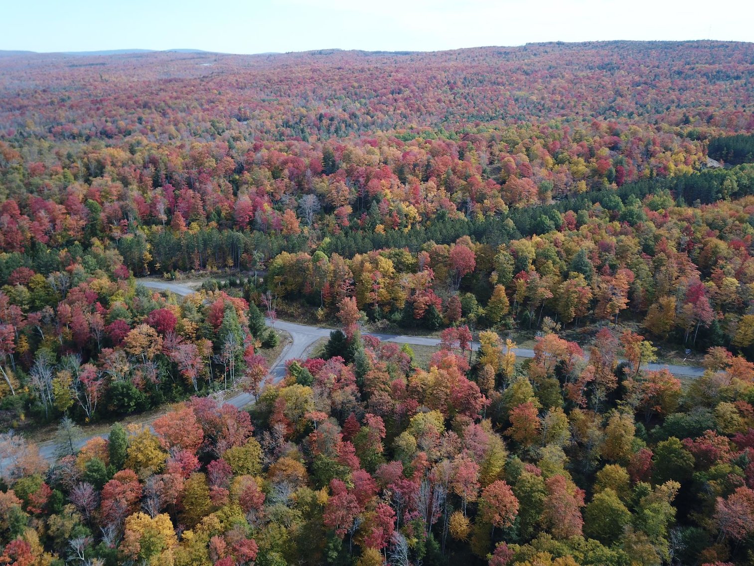 Image for SOLD - 55 Lots in Tuscan Ridge Sold to the Highest Bidders