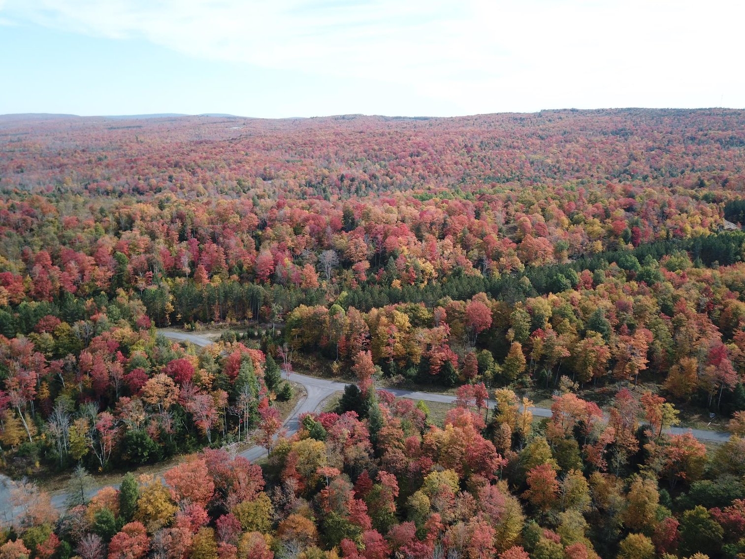 Image for SOLD - 55 Lots in Tuscan Ridge Sold to the Highest Bidders