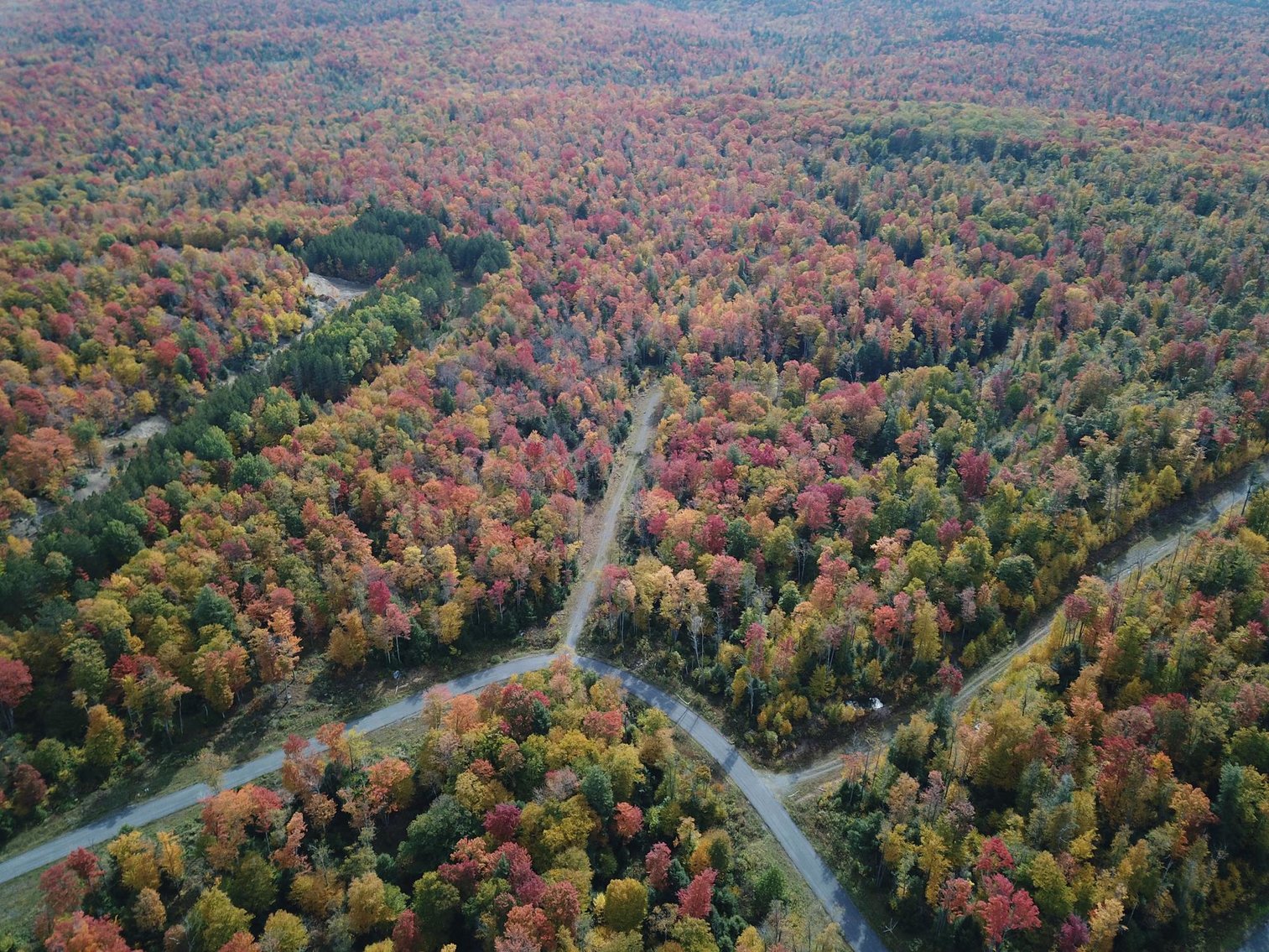 Image for SOLD - 55 Lots in Tuscan Ridge Sold to the Highest Bidders