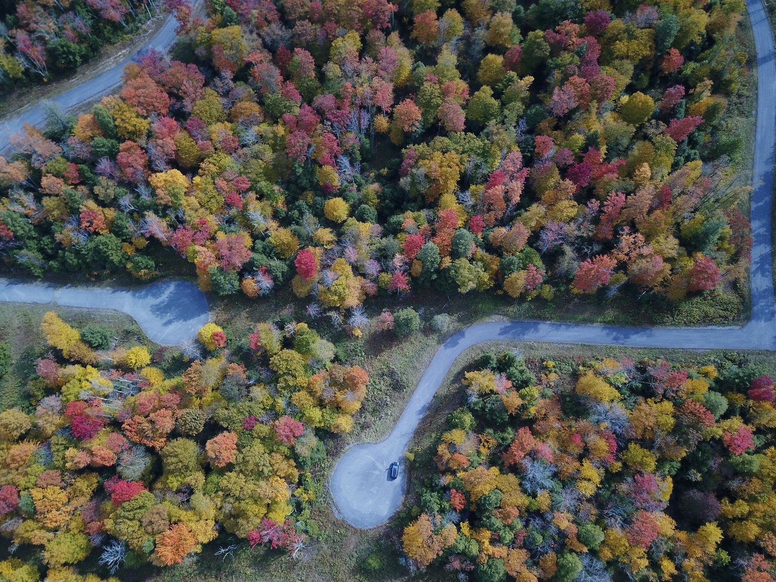 Image for SOLD - 55 Lots in Tuscan Ridge Sold to the Highest Bidders