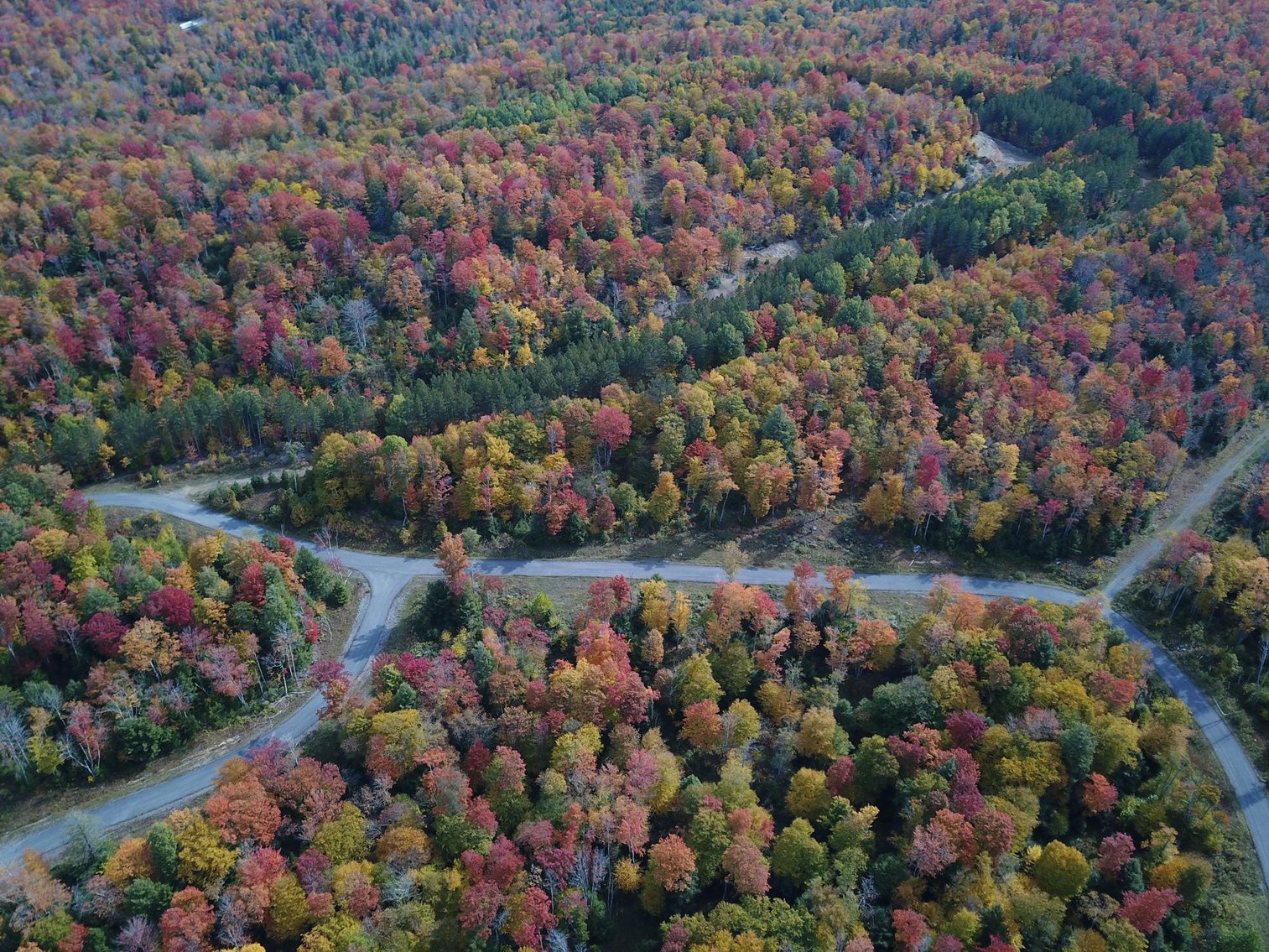 Image for SOLD - 55 Lots in Tuscan Ridge Sold to the Highest Bidders