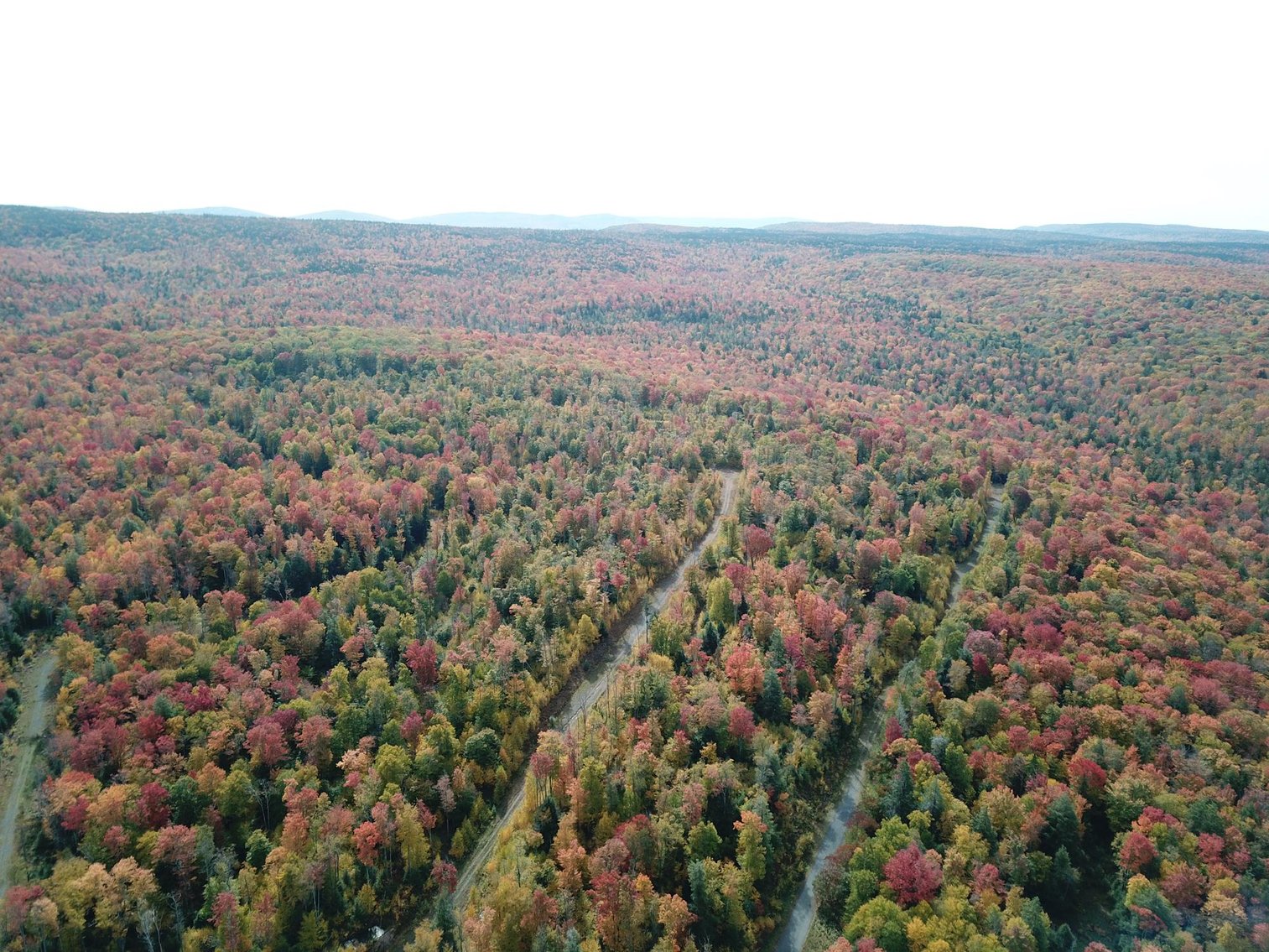 Image for SOLD - 55 Lots in Tuscan Ridge Sold to the Highest Bidders